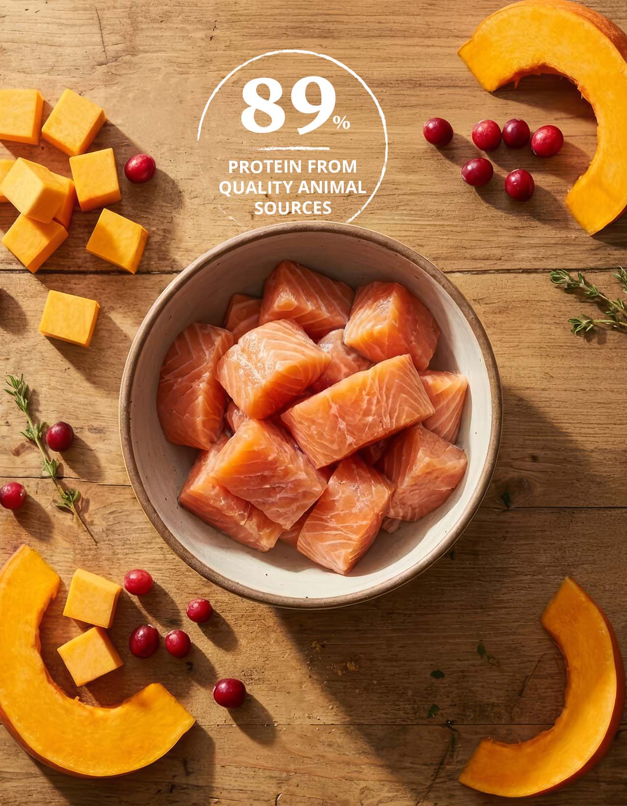 A bowl of raw salmon chunks surrounded by pumpkin cubes, cranberries, and herbs, highlighting that 89% of the protein comes from quality animal sources