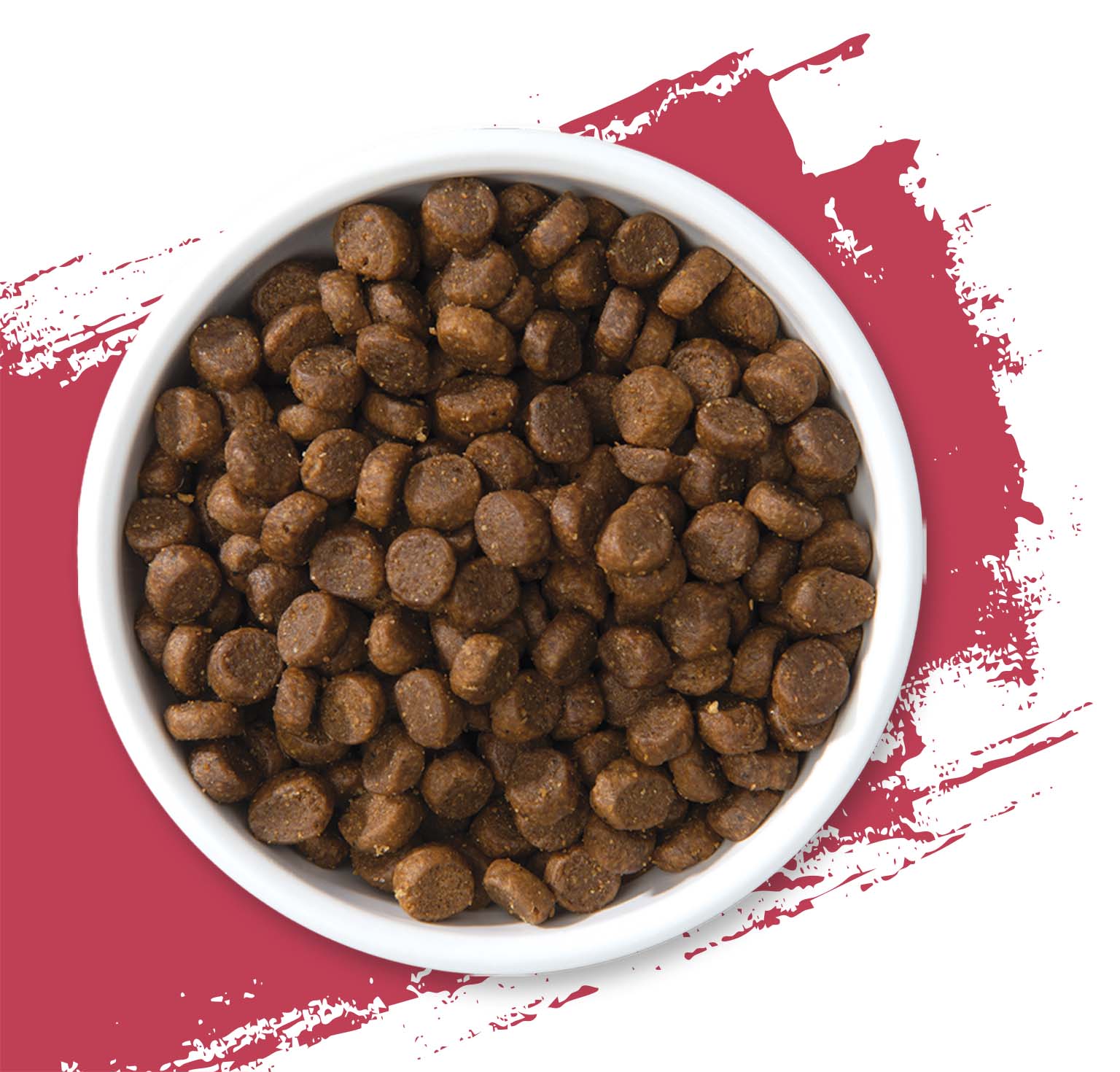 A white bowl filled with brown, round dry cat food kibble against a red, textured background