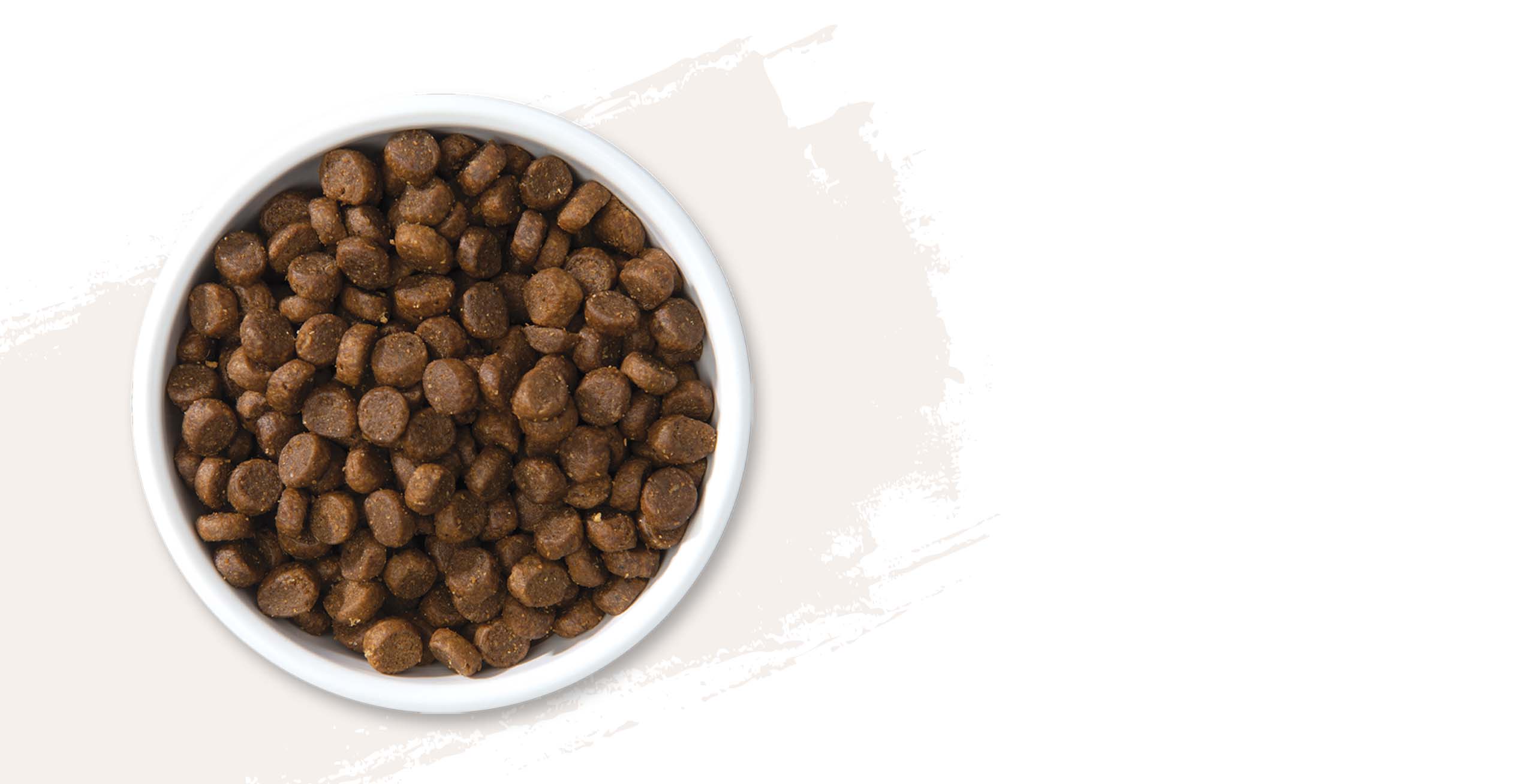 A white bowl filled with brown dry cat food pellets on a light background