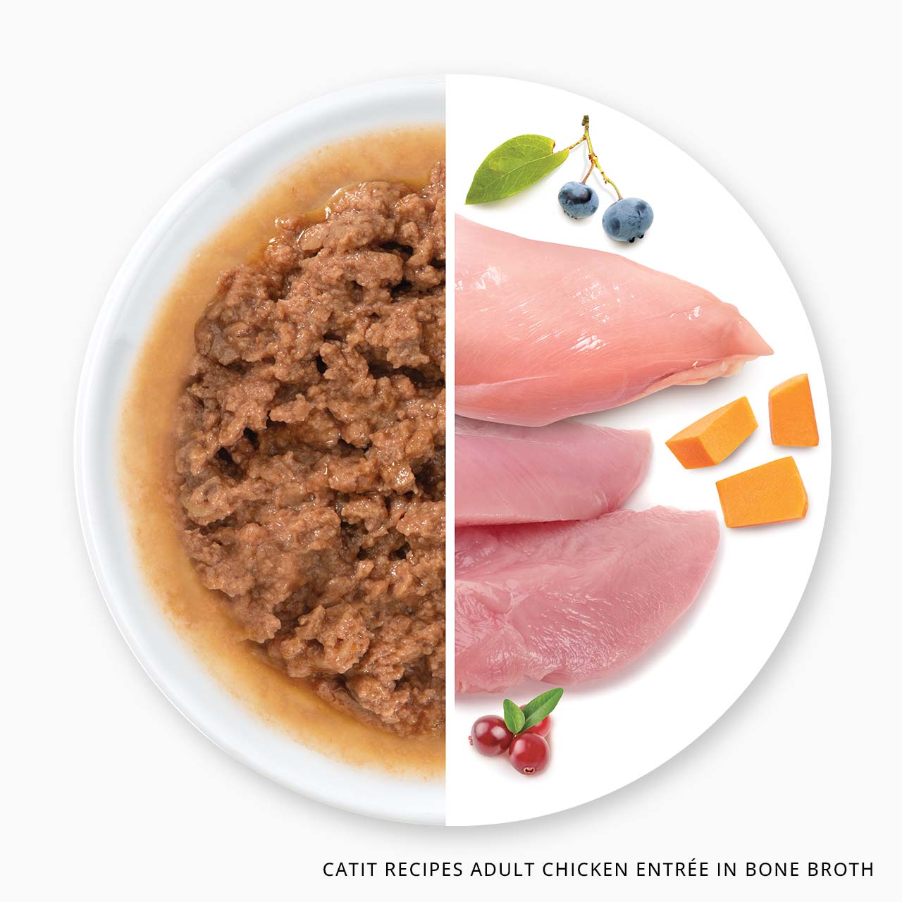 Catit Recipes Adult Chicken Entrée in Bone Broth wet cat food shown with its raw ingredients including chicken, blueberries, pumpkin, and cranberries