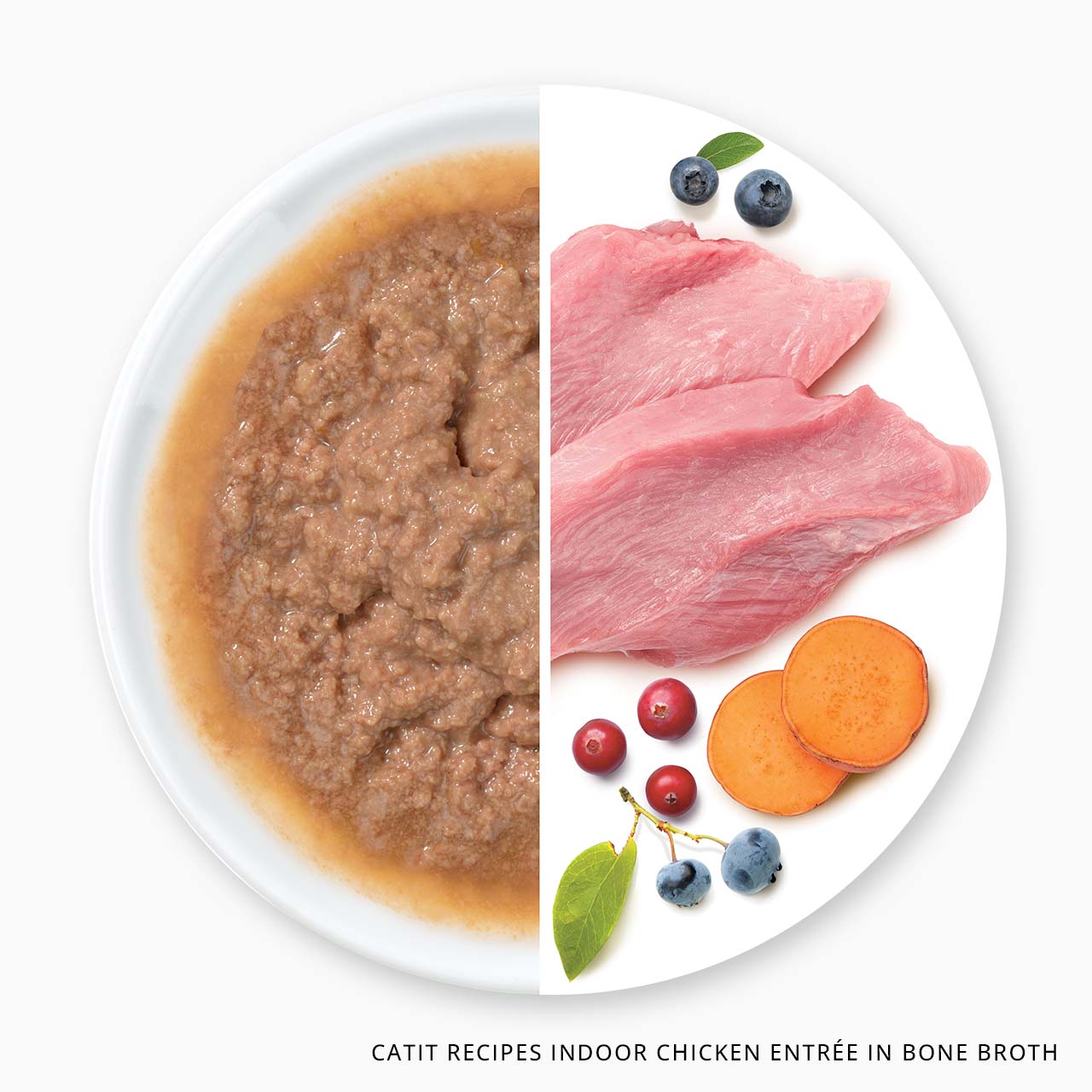 Catit Recipes Indoor Chicken Entrée in Bone Broth wet cat food shown with its raw ingredients including chicken, blueberries, cranberries, and sweet potato