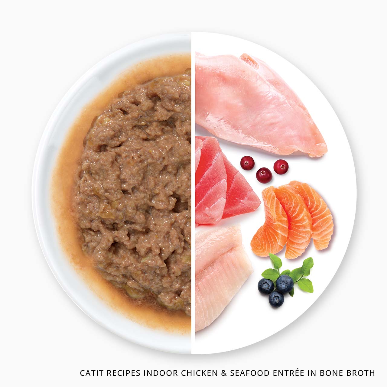 Catit Recipes Indoor Chicken and Seafood Entrée in bone broth, shown as a plate of wet cat food next to its raw ingredients