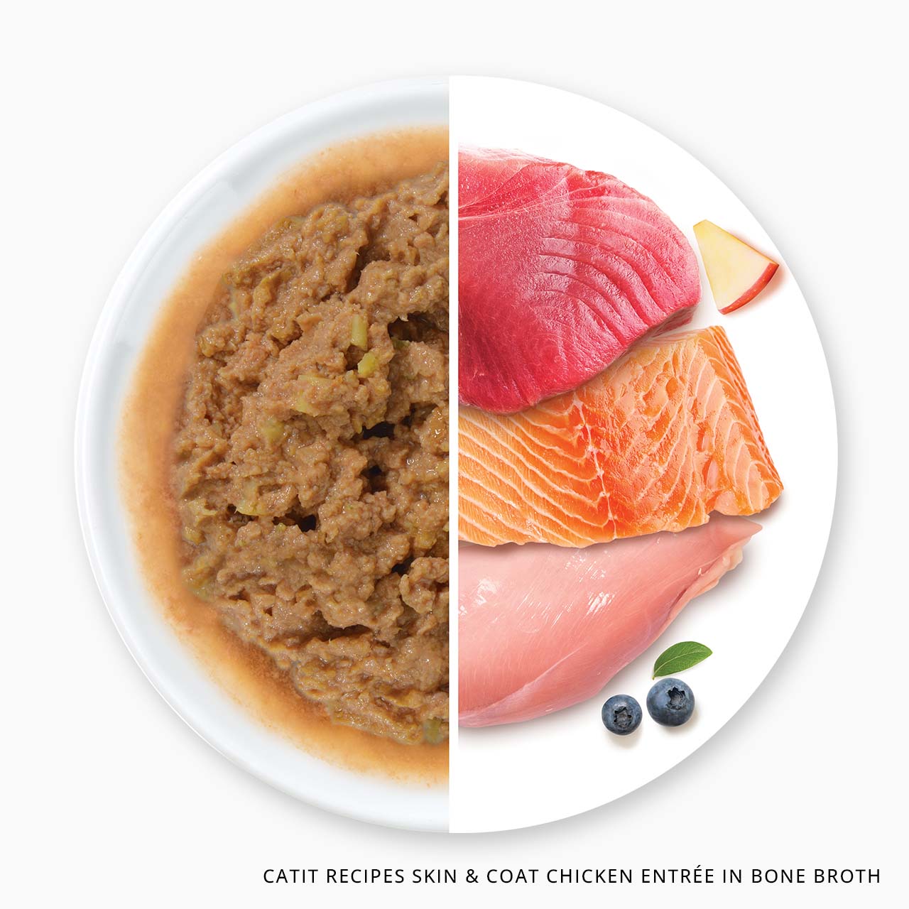 Catit Recipes Skin and Coat chicken entrée in bone broth cat food shown next to its raw ingredients