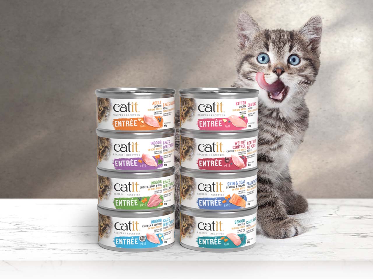 A tabby kitten licking its lips next to two stacks of Catit wet cat food cans