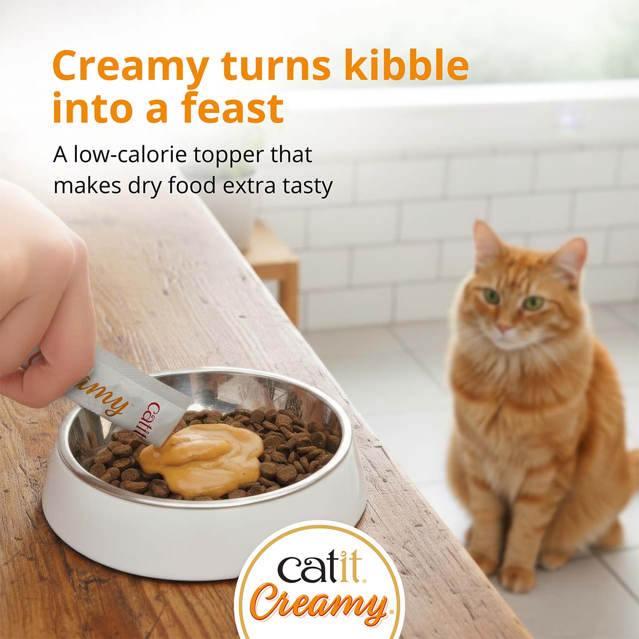 A hand squeezes a Catit Creamy treat packet onto dry kibble in a bowl while an orange cat watches nearby