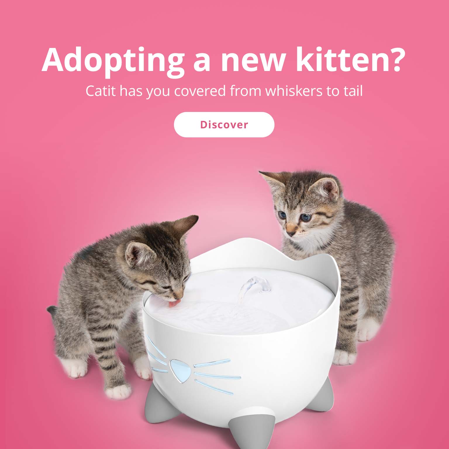 Promotional banner for new kitten owners featuring two kittens drinking from a Catit PIXI fountain with a Discover button