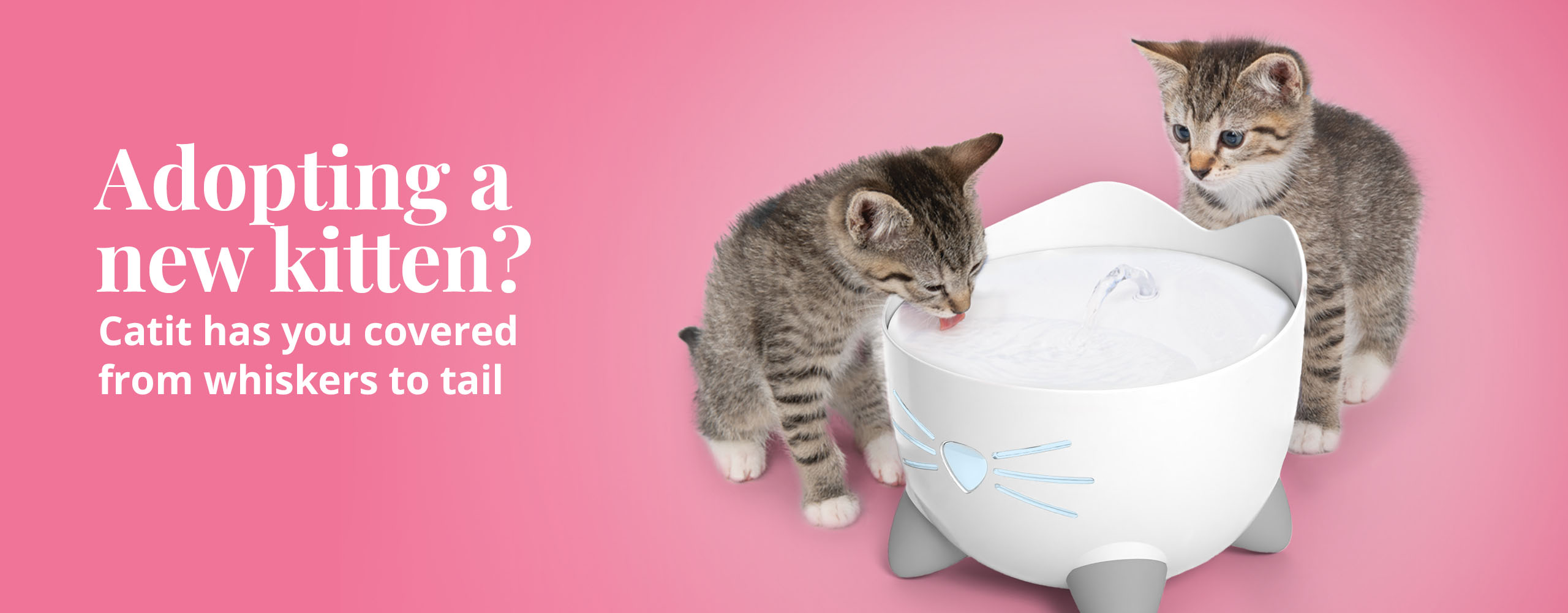 Catit promotional banner for new kitten owners featuring two kittens drinking from a cat-shaped water fountain