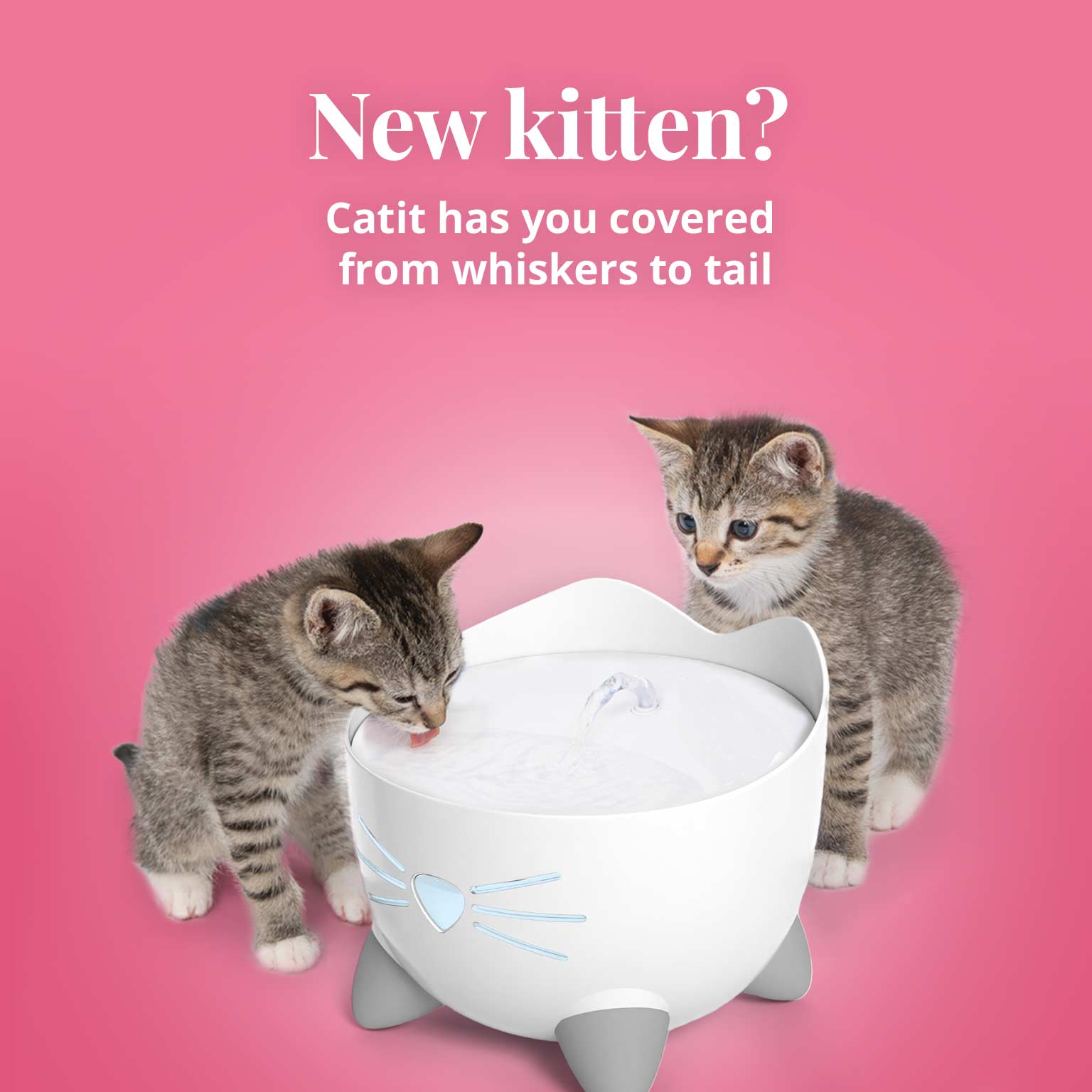 Catit promotional banner for new kittens featuring two kittens drinking from a PIXI cat water fountain