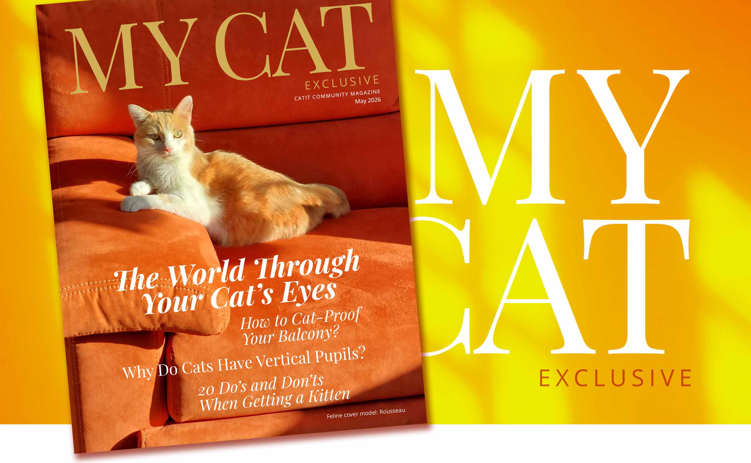 May 2026 issue of My Cat Exclusive magazine featuring articles on cat vision, balcony safety, and kitten care tips