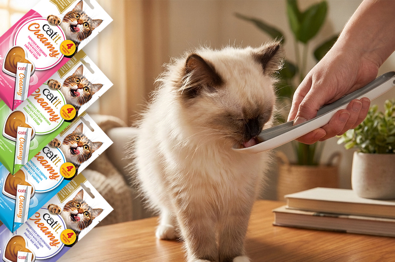 A fluffy cat licks a creamy treat from a Catit spoon held by a person, with Catit Creamy treat packaging displayed on the left
