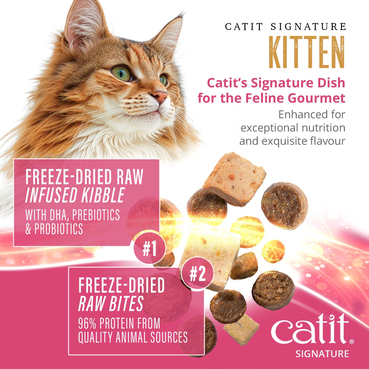 Catit Signature Kitten food featuring freeze-dried raw infused kibble and freeze-dried raw bites with 96% animal protein