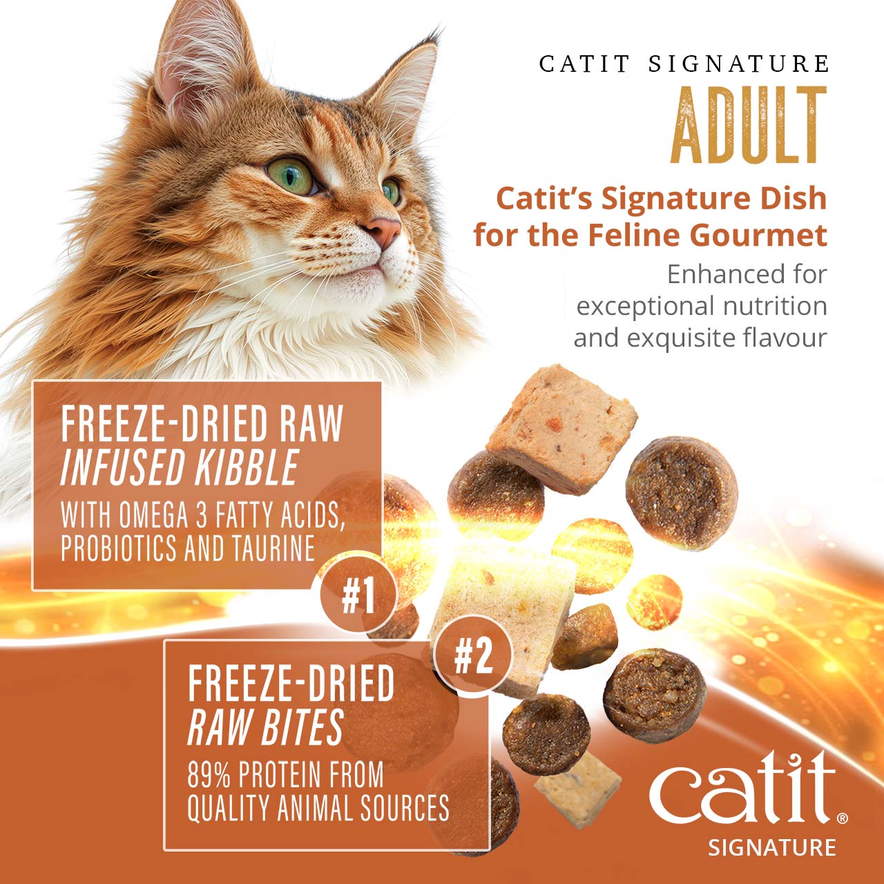 Catit Signature Adult cat food features freeze-dried raw bites and raw-infused kibble with omega-3, probiotics, and taurine