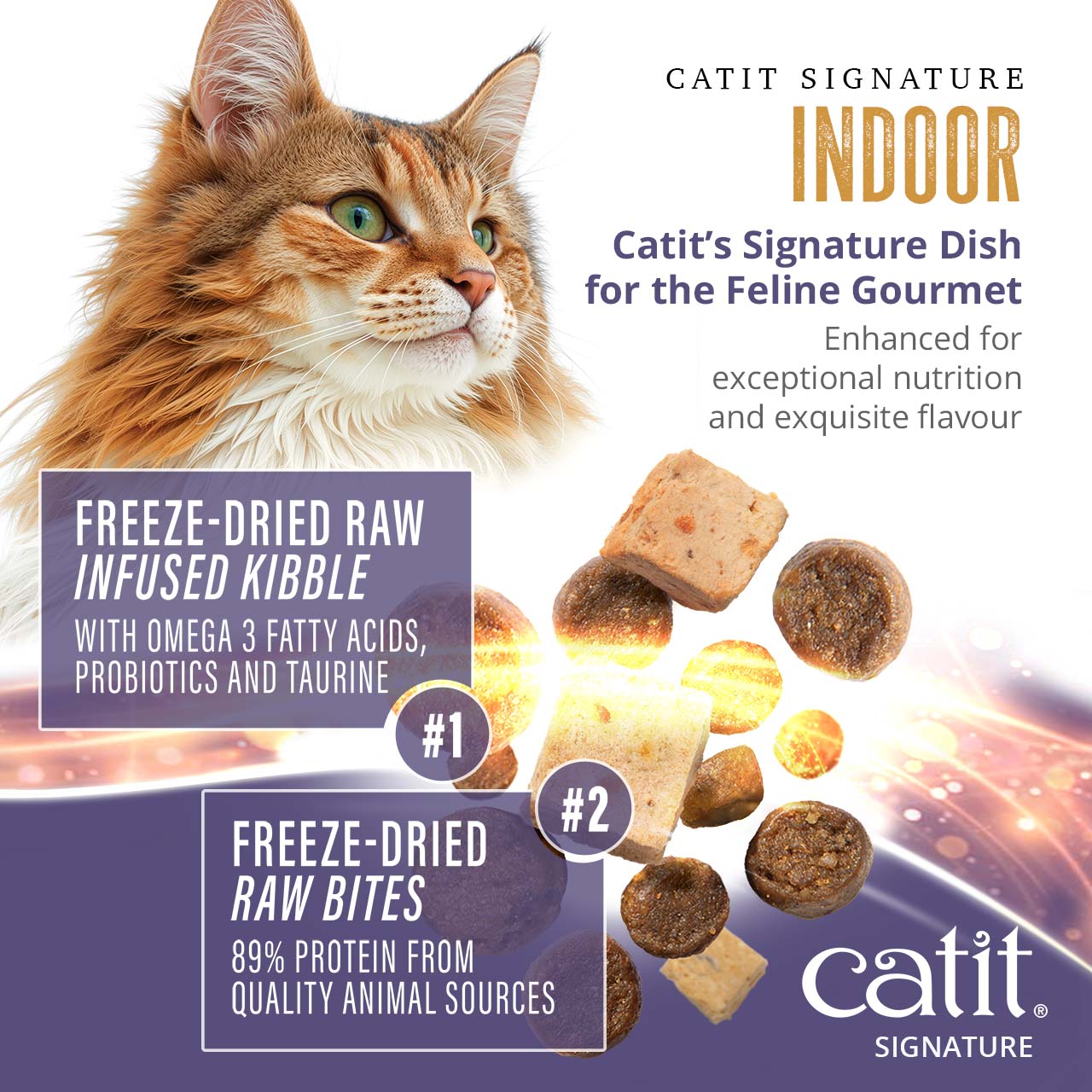 Catit Signature Indoor cat food, featuring freeze-dried raw bites and raw-infused kibble with omega-3, probiotics, and taurine