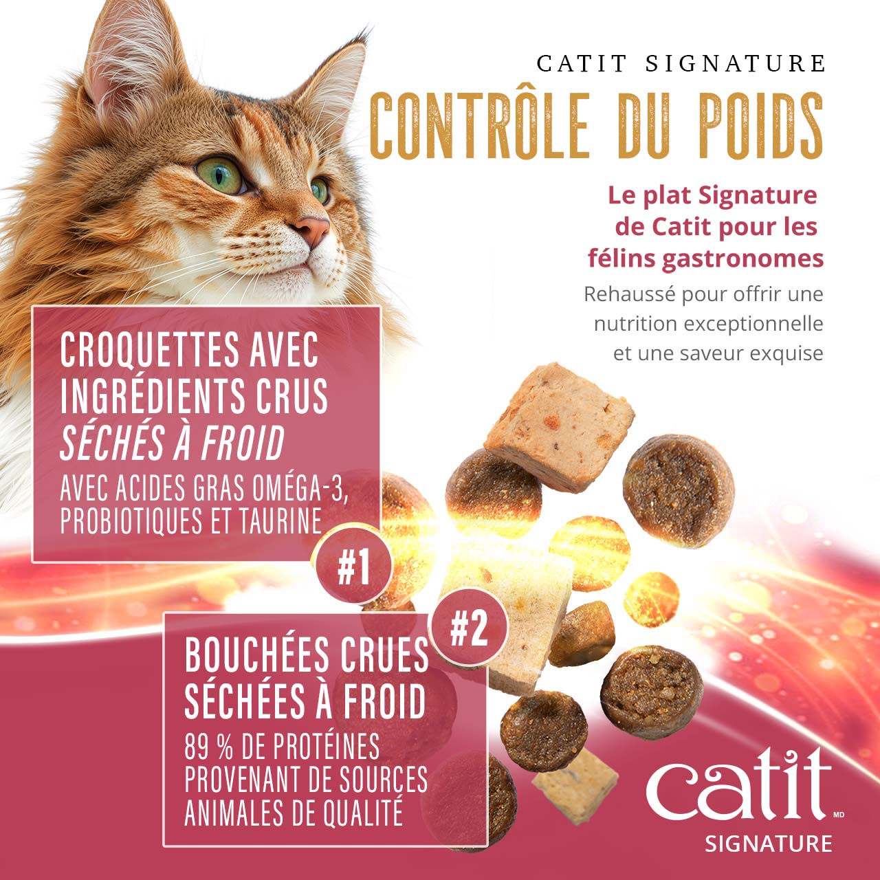 Catit Signature Weight Control cat food features a blend of freeze-dried raw ingredients and kibble with 89% animal protein