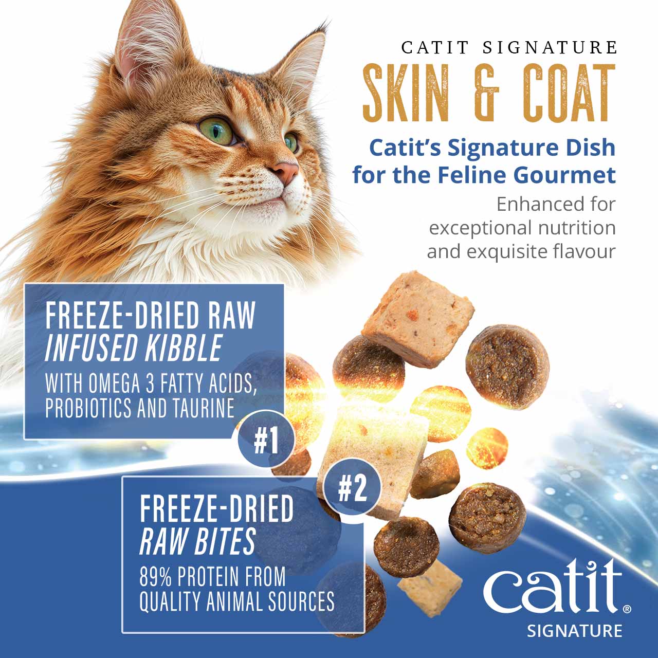 Catit Signature Skin & Coat cat food featuring freeze-dried raw infused kibble and raw bites for feline nutrition