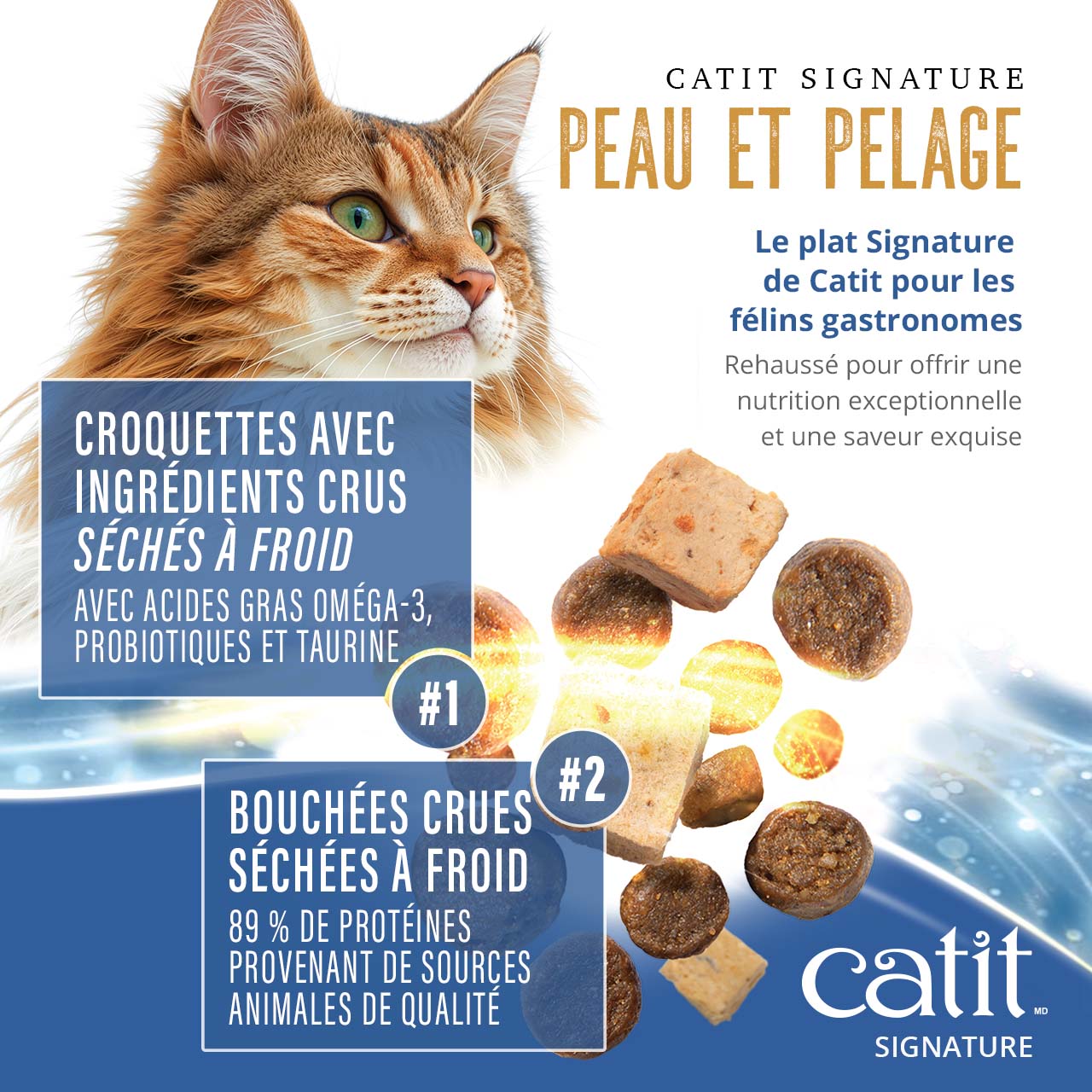 Catit Signature Skin and Coat cat food featuring freeze-dried raw ingredients, omega-3 fatty acids, and probiotics