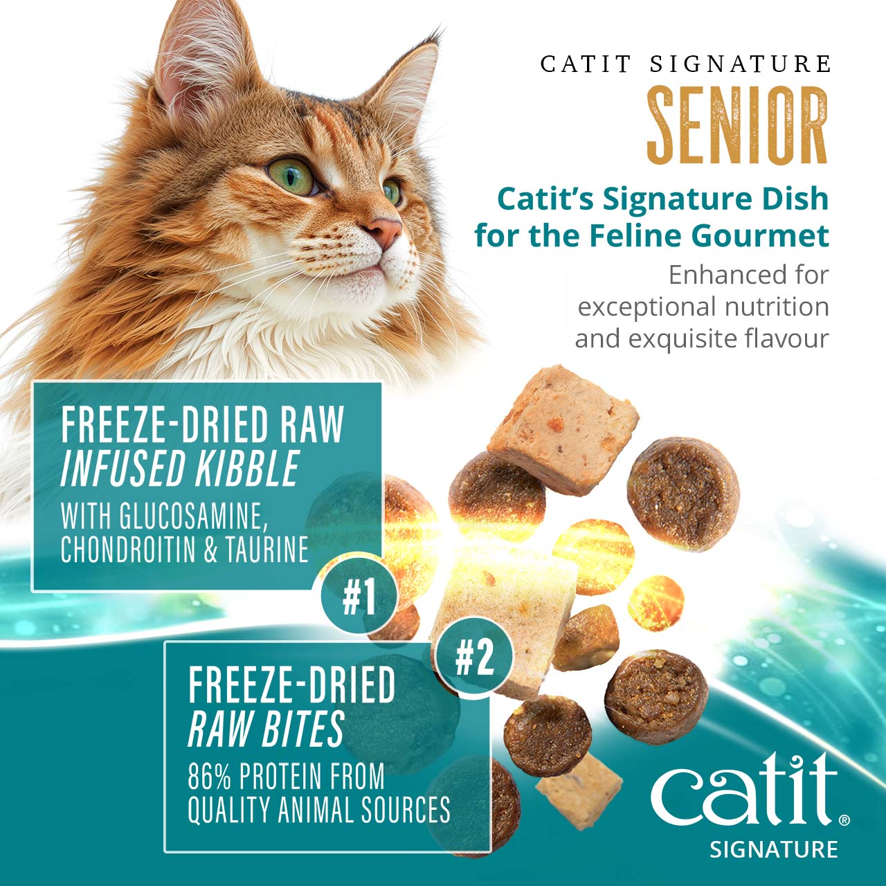 Catit Signature Senior cat food features freeze-dried raw bites and raw-infused kibble with glucosamine, chondroitin, and taurine