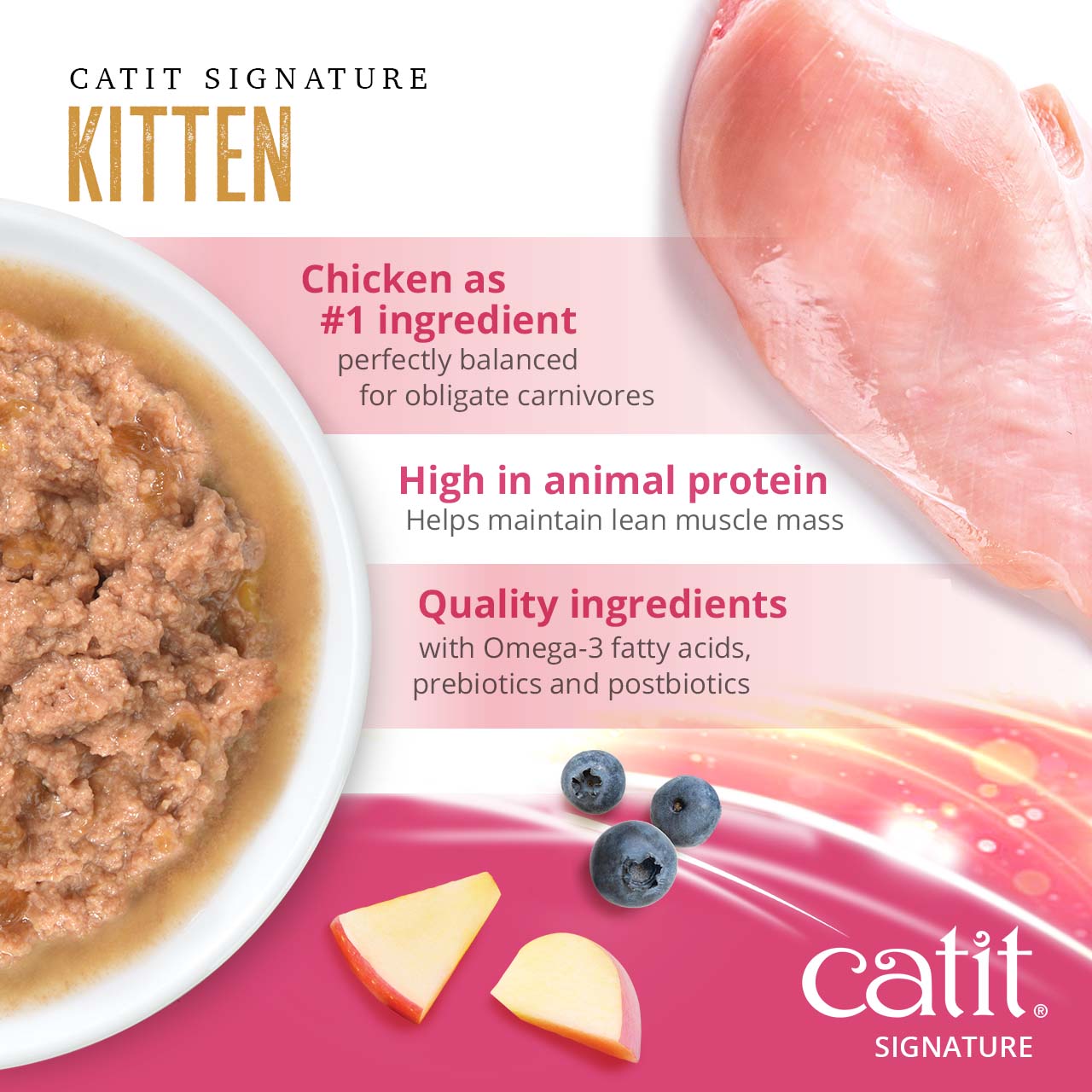 Promotional graphic for Catit Signature Kitten food, highlighting chicken as the primary ingredient, high animal protein, and added nutrients like Omega-3s, prebiotics, and postbiotics