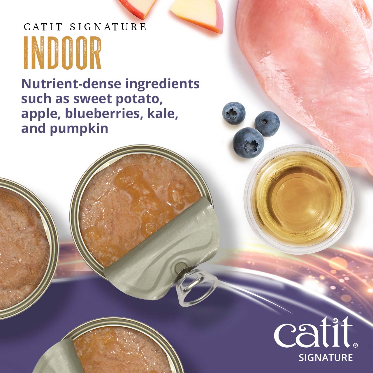 Catit Signature Indoor wet cat food featuring nutrient-dense ingredients like sweet potato, apple, and blueberries
