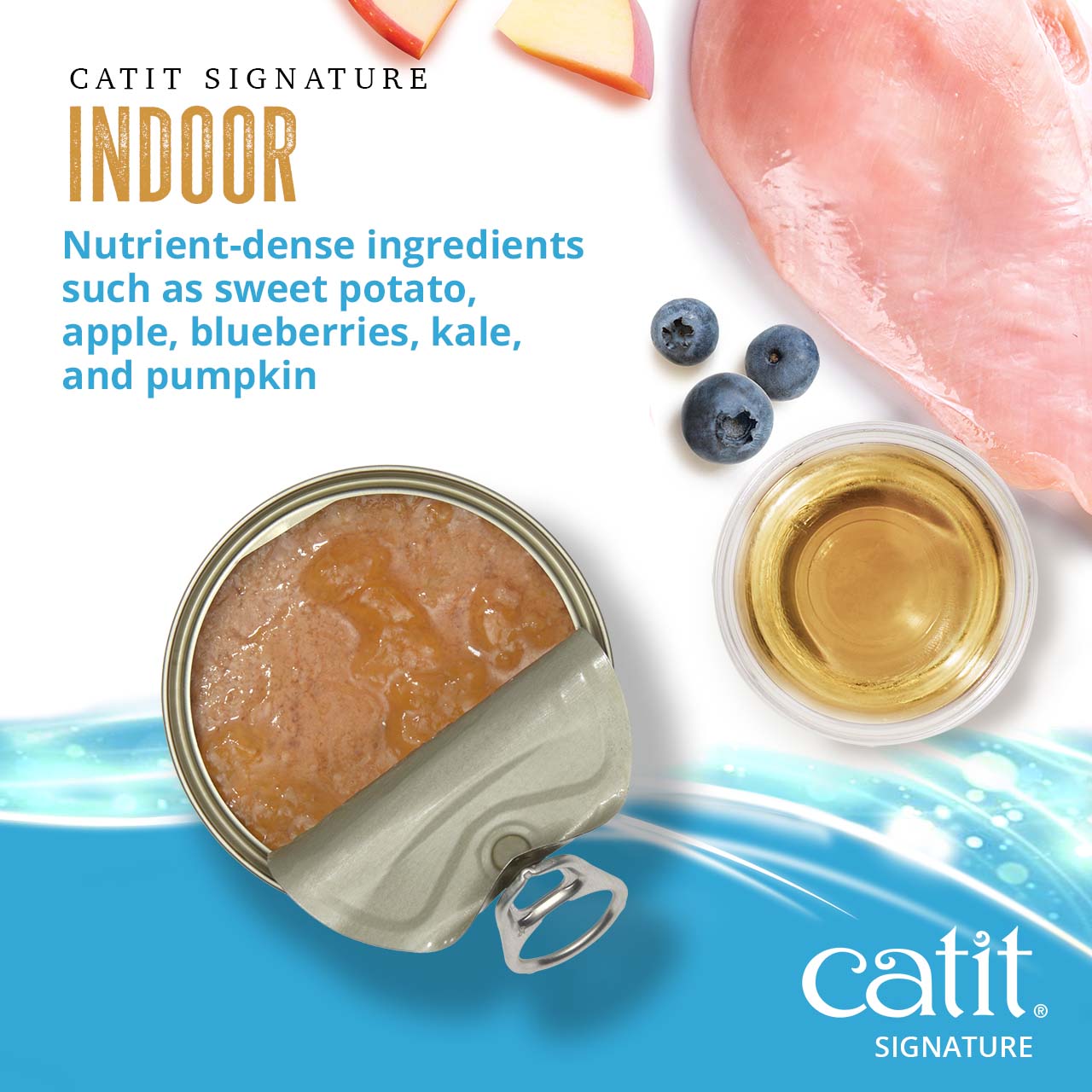 Catit Signature Indoor wet cat food featuring nutrient-dense ingredients like sweet potato, apple, blueberries, and kale