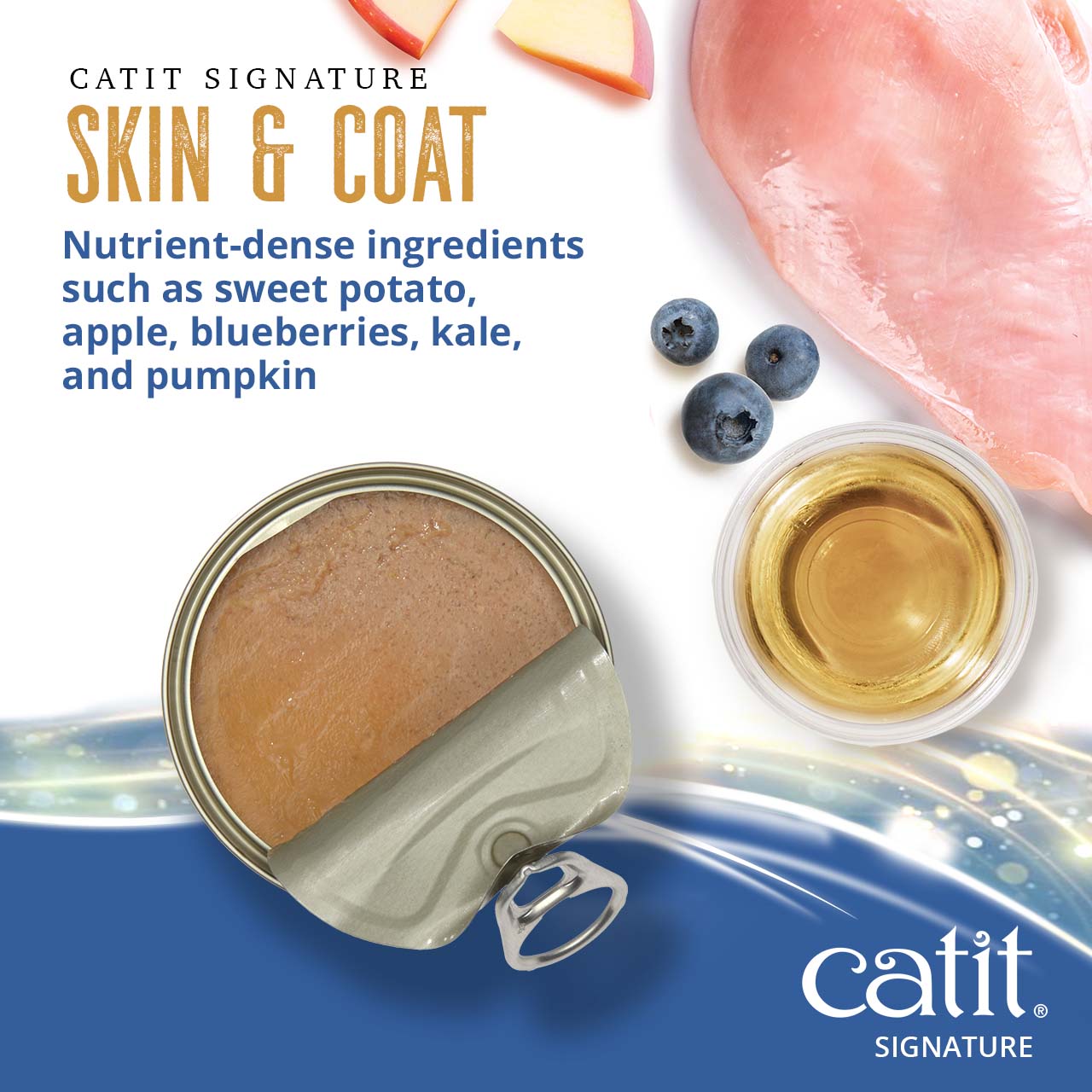 Catit Signature Skin & Coat wet cat food, featuring nutrient-dense ingredients like sweet potato, apple, and blueberries