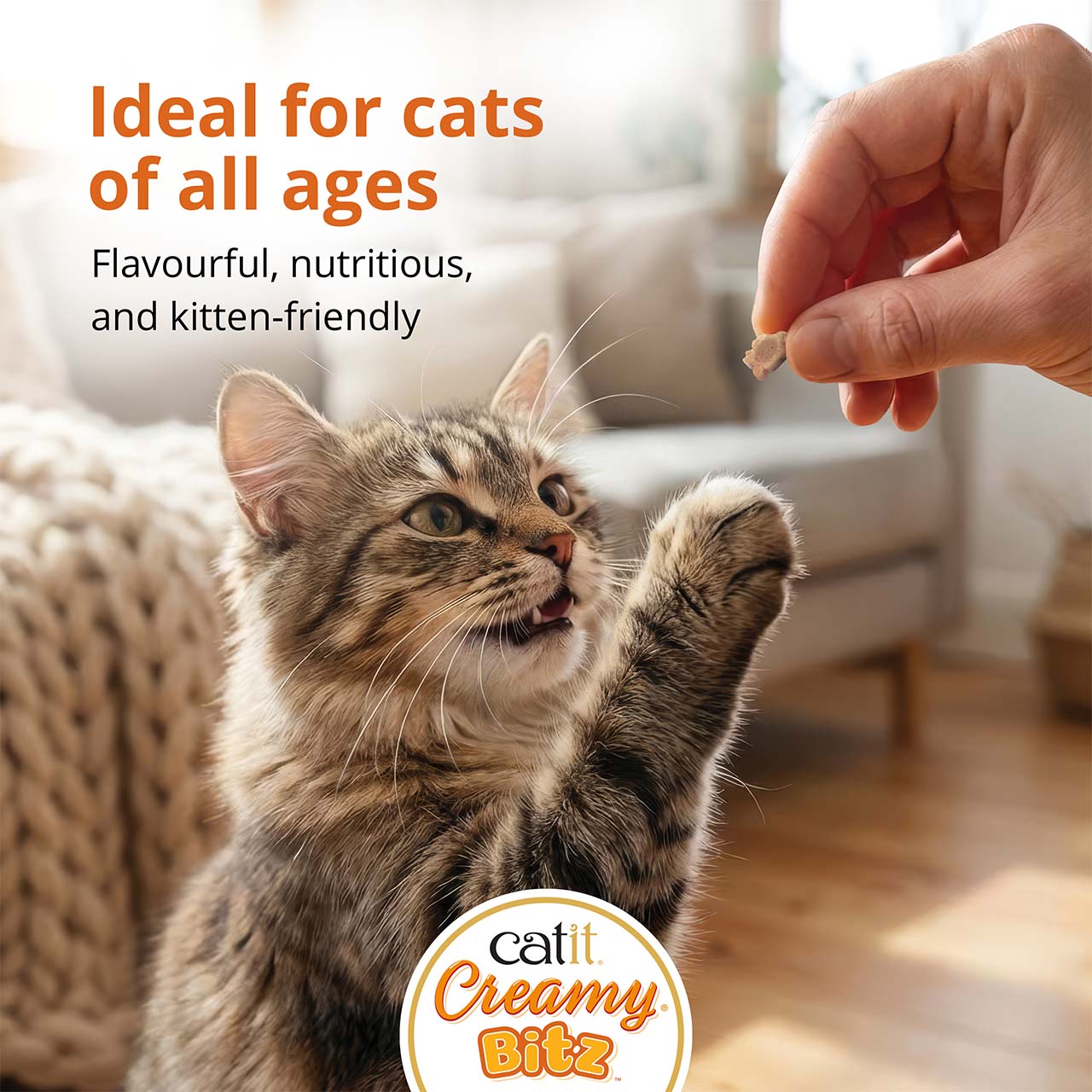 A person holds a Catit Creamy Bitz treat for a tabby cat reaching up with its paw