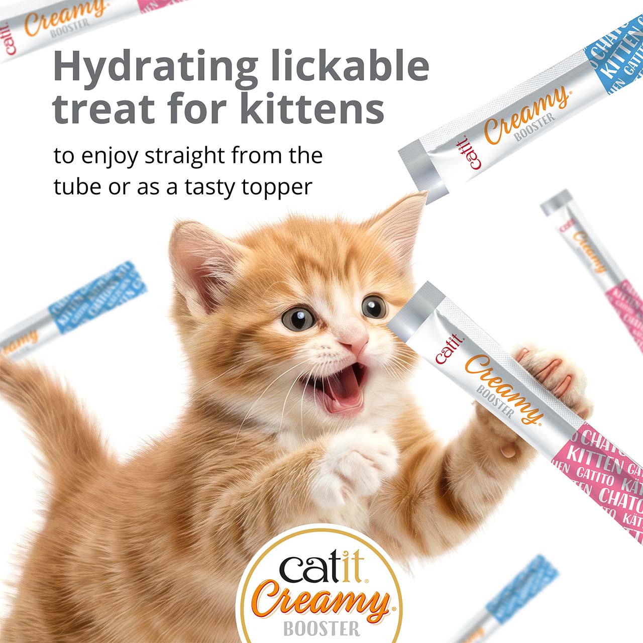Catit Creamy Booster hydrating lickable treat for kittens, shown as a tube being held by a ginger kitten