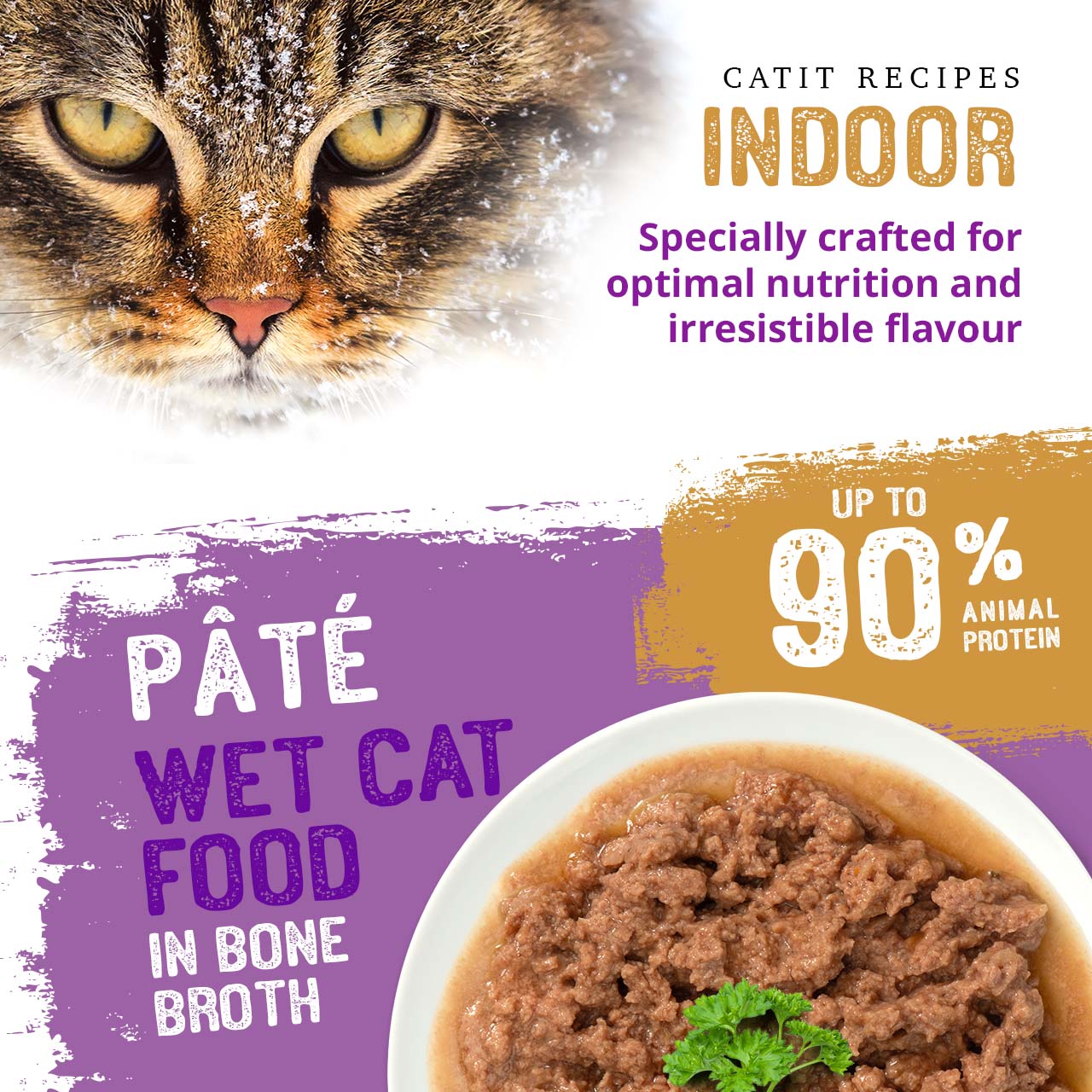 Catit Indoor wet cat food pâté in bone broth, featuring up to 90% animal protein for optimal nutrition