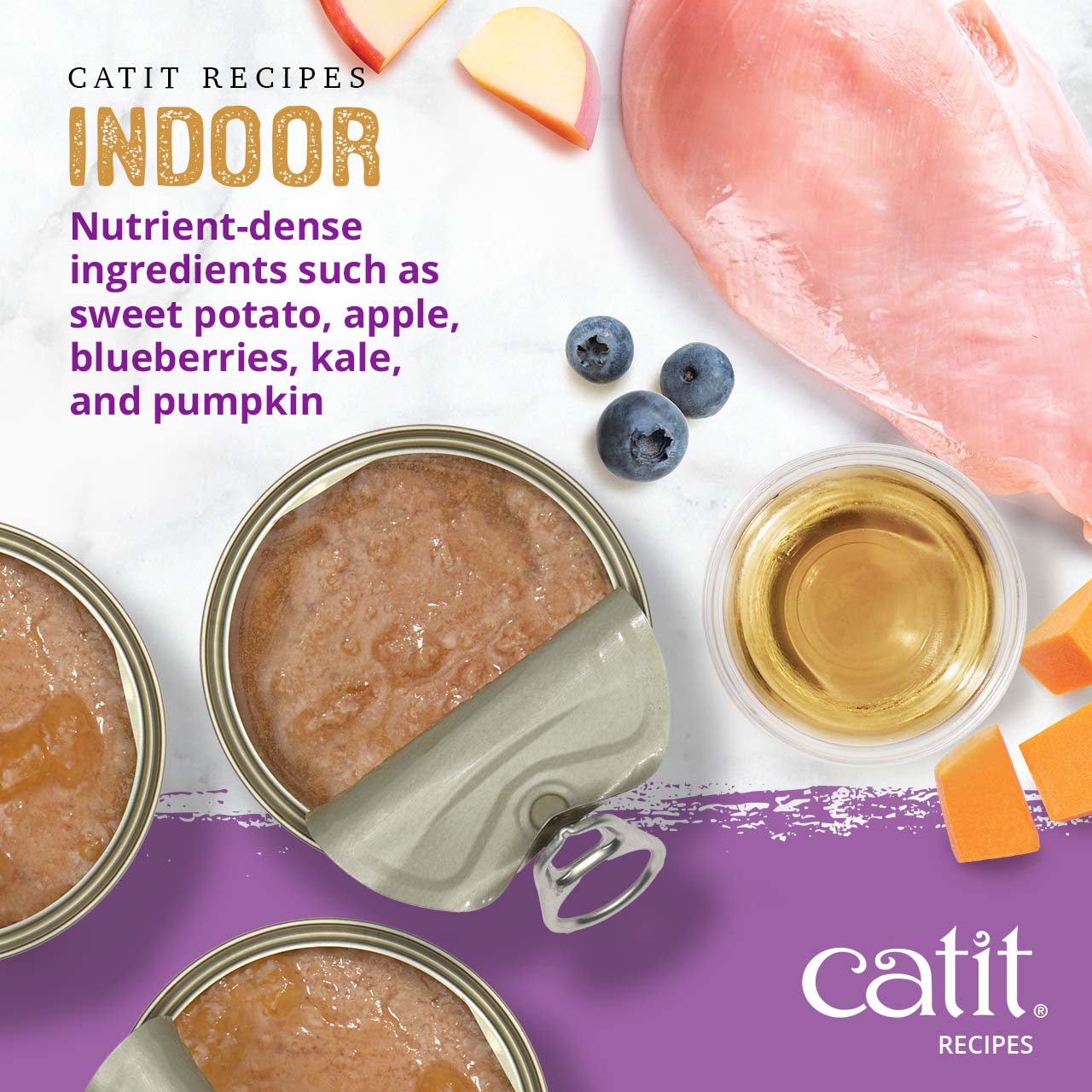 Catit Indoor cat food advertisement highlighting nutrient-dense ingredients like sweet potato, apple, blueberries, and pumpkin
