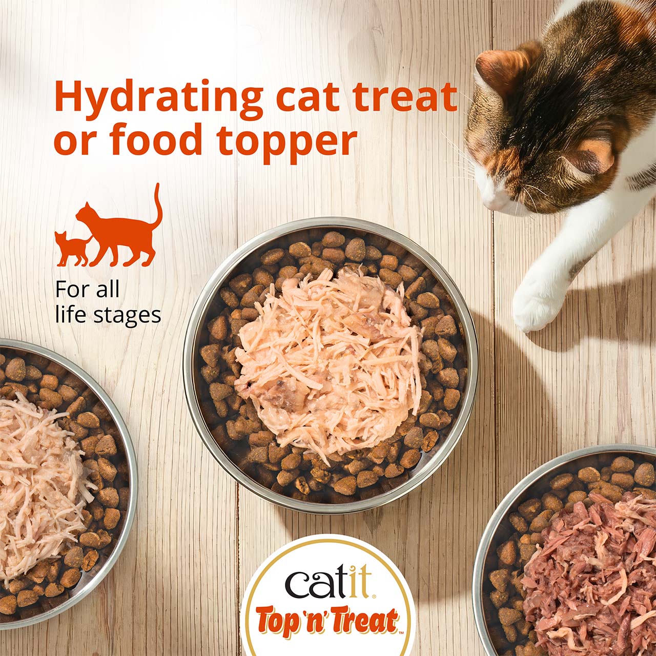 Catit Top 'n' Treat hydrating cat food topper for all life stages shown in bowls with dry kibble and a cat nearby