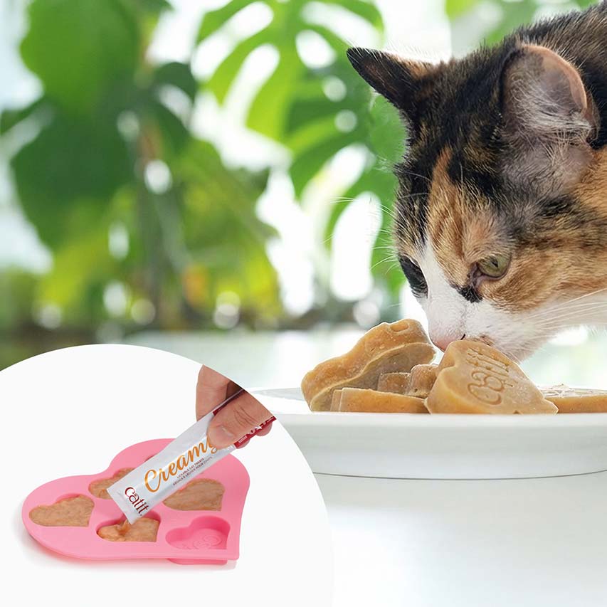 A calico cat eating heart-shaped frozen treats from a plate, with an inset showing a hand filling a heart-shaped mold