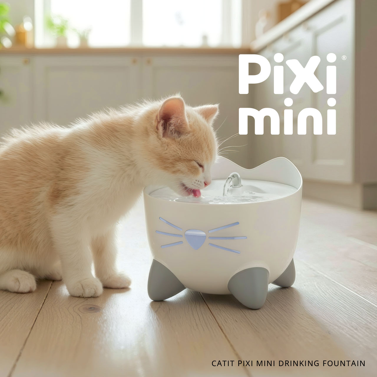 A light-colored kitten drinking from a white PIXI mini cat water fountain shaped like a cat face