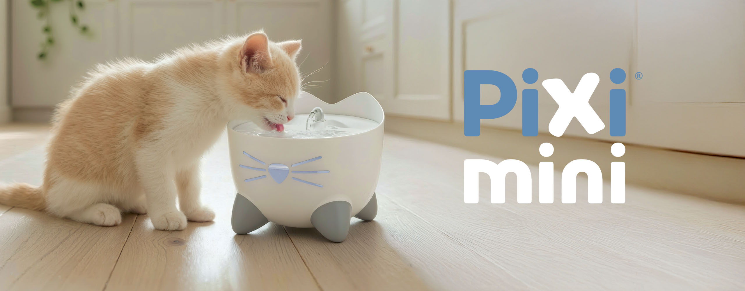 A light-colored kitten drinks from a white PIXI mini cat water fountain shaped like a cat face