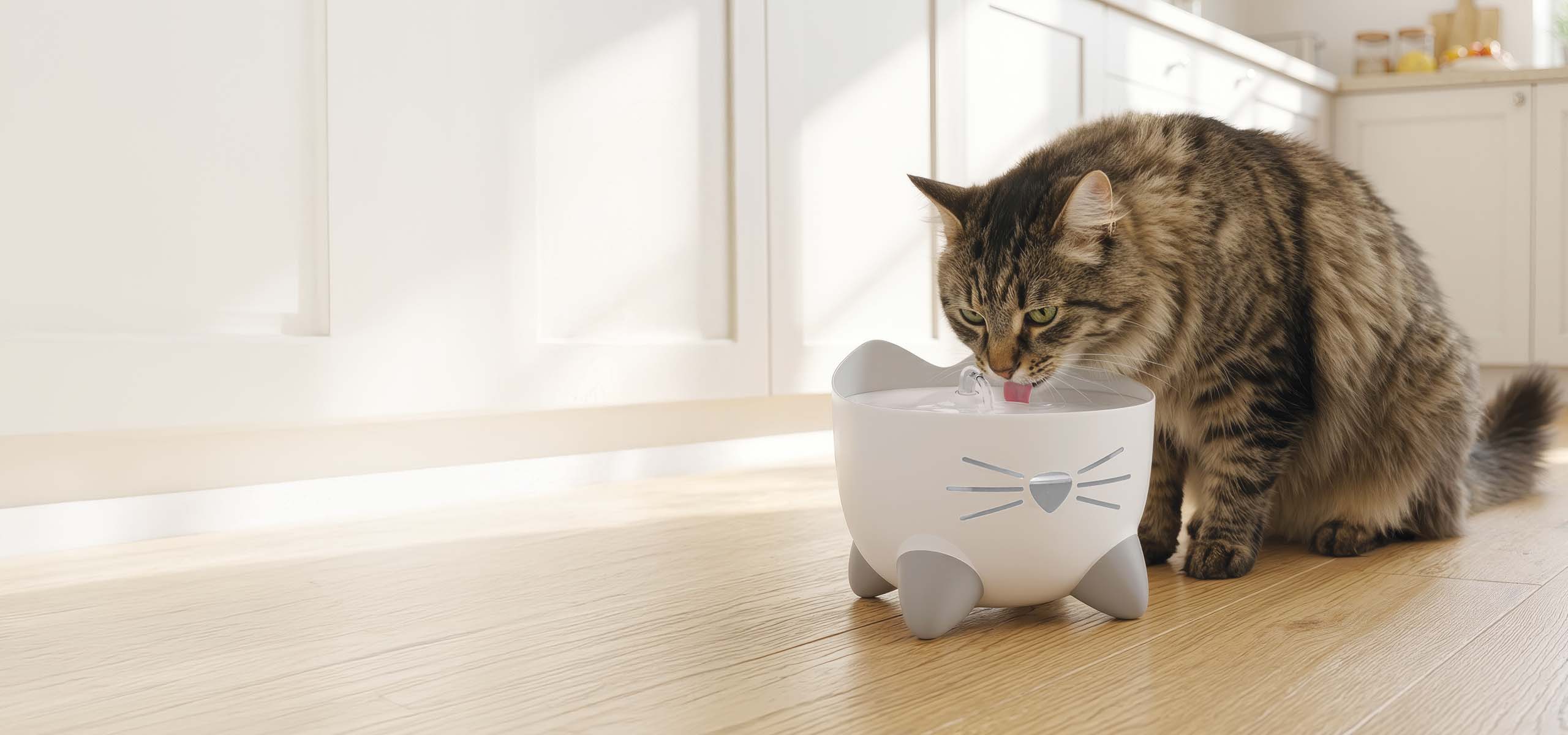 A tabby cat drinking water from a white PIXI cat-shaped fountain on a wooden floor in a kitchen