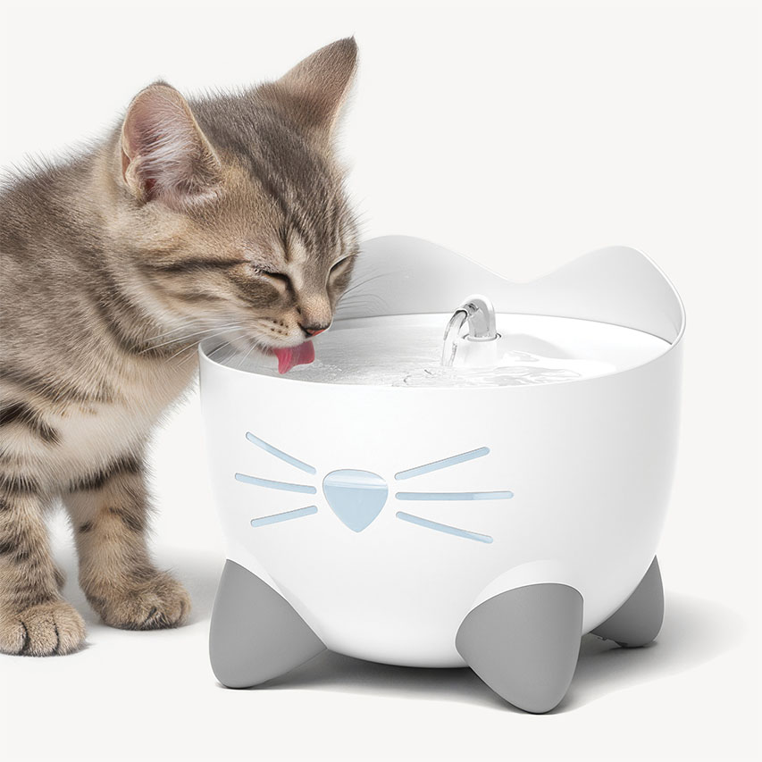 A tabby kitten drinking from a white PIXI cat water fountain shaped like a cat face