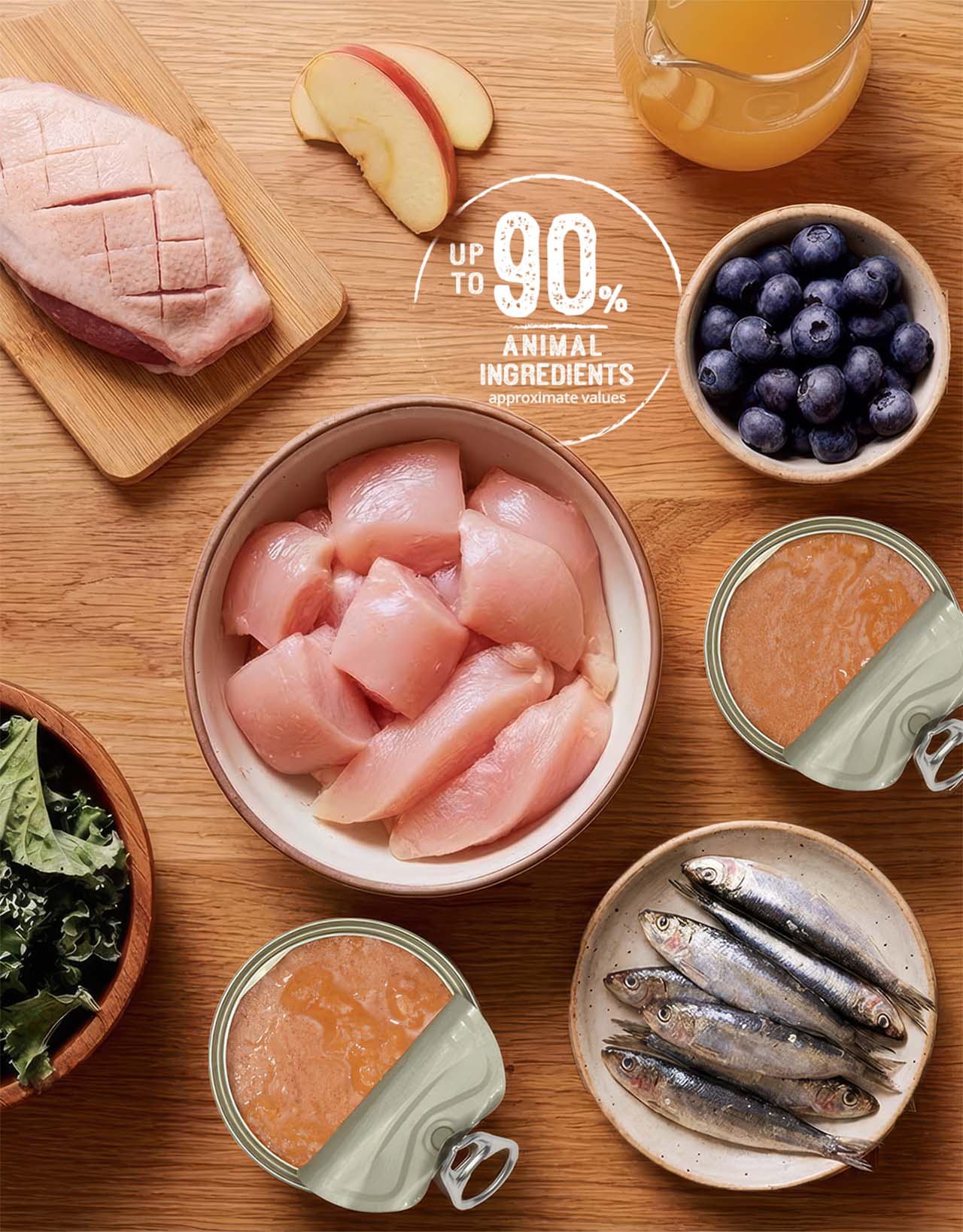 Raw ingredients including chicken, fish, blueberries, and apple, representing high-protein cat food components