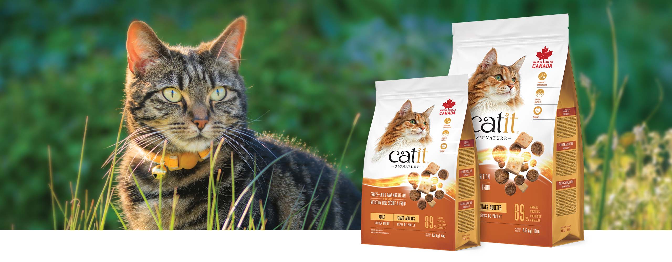 A tabby cat sitting in grass next to two bags of Catit Signature adult chicken recipe cat food