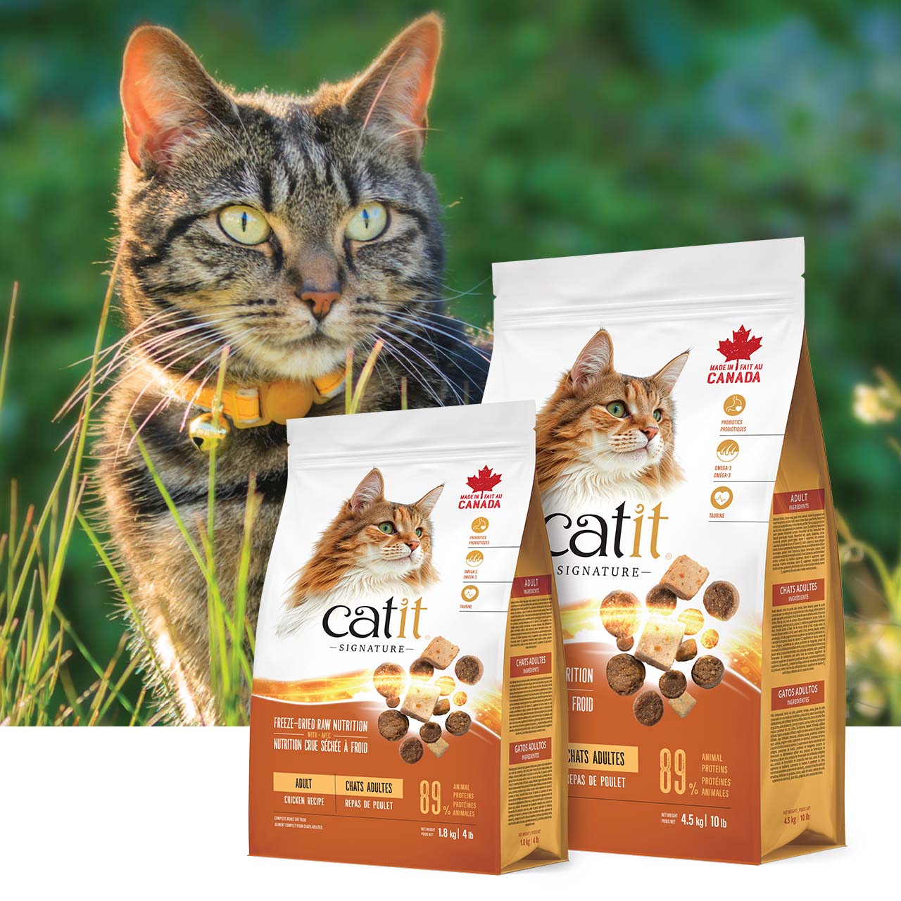 Two bags of Catit Signature freeze-dried raw chicken cat food in 1.8 kg and 4.5 kg sizes with a cat in the background