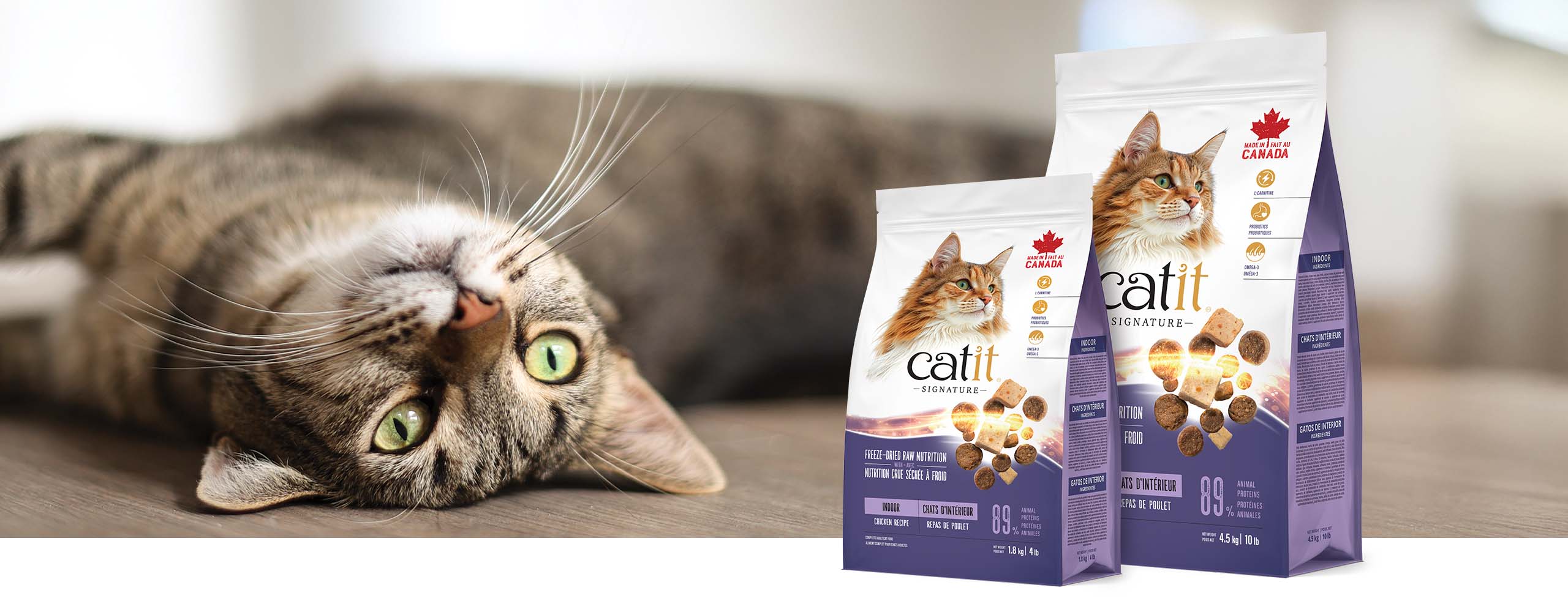 A tabby cat lying on its side next to two bags of Catit Signature indoor chicken recipe cat food