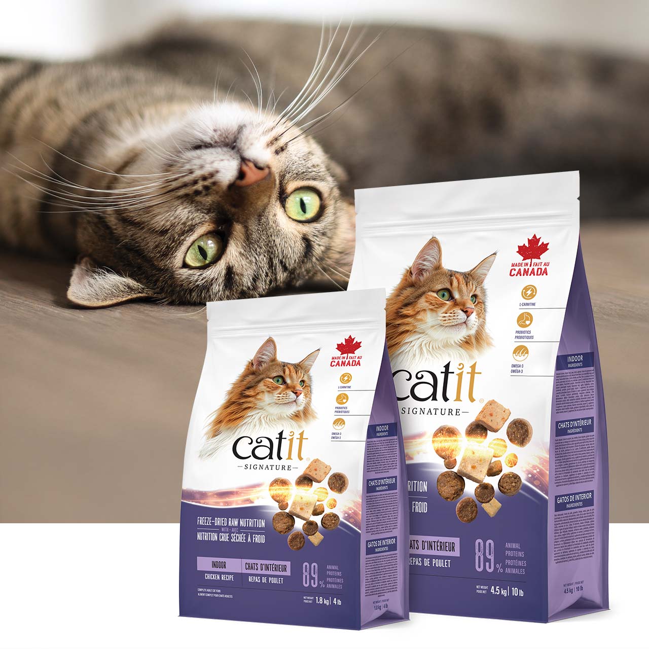 A tabby cat lying on the floor next to two bags of Catit Signature indoor chicken recipe cat food