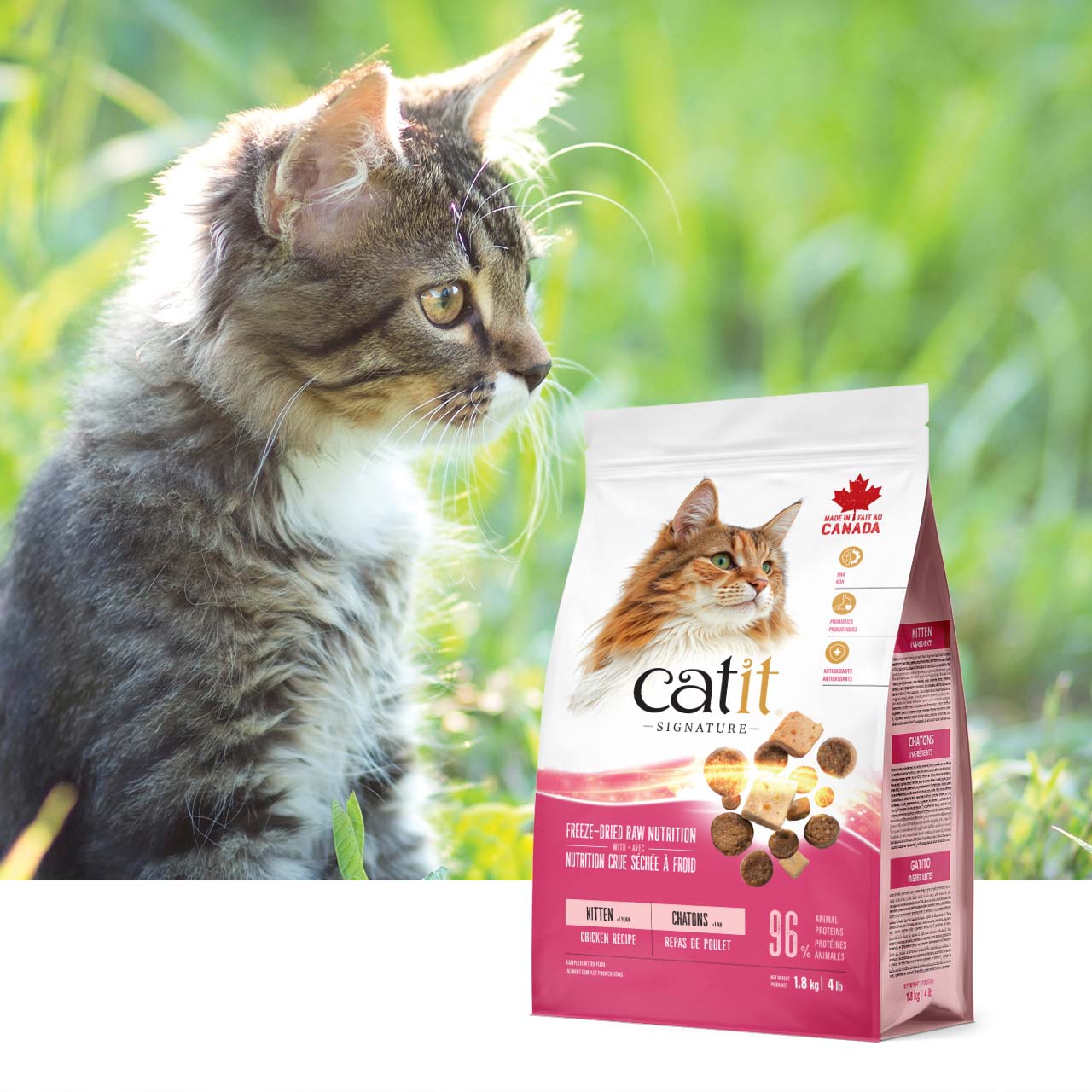 A fluffy kitten sitting in grass next to a bag of Catit Signature freeze-dried chicken kitten food
