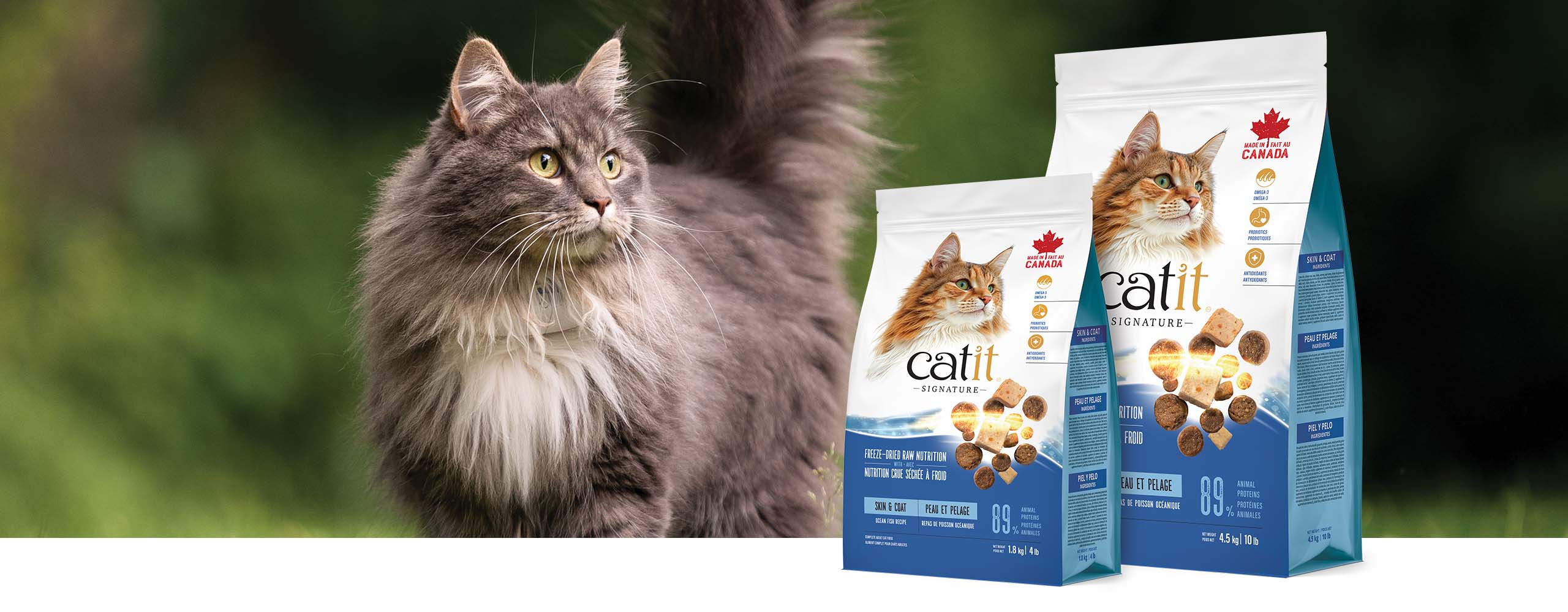 A fluffy grey cat stands next to two bags of Catit Signature Skin & Coat ocean fish recipe cat food packaging
