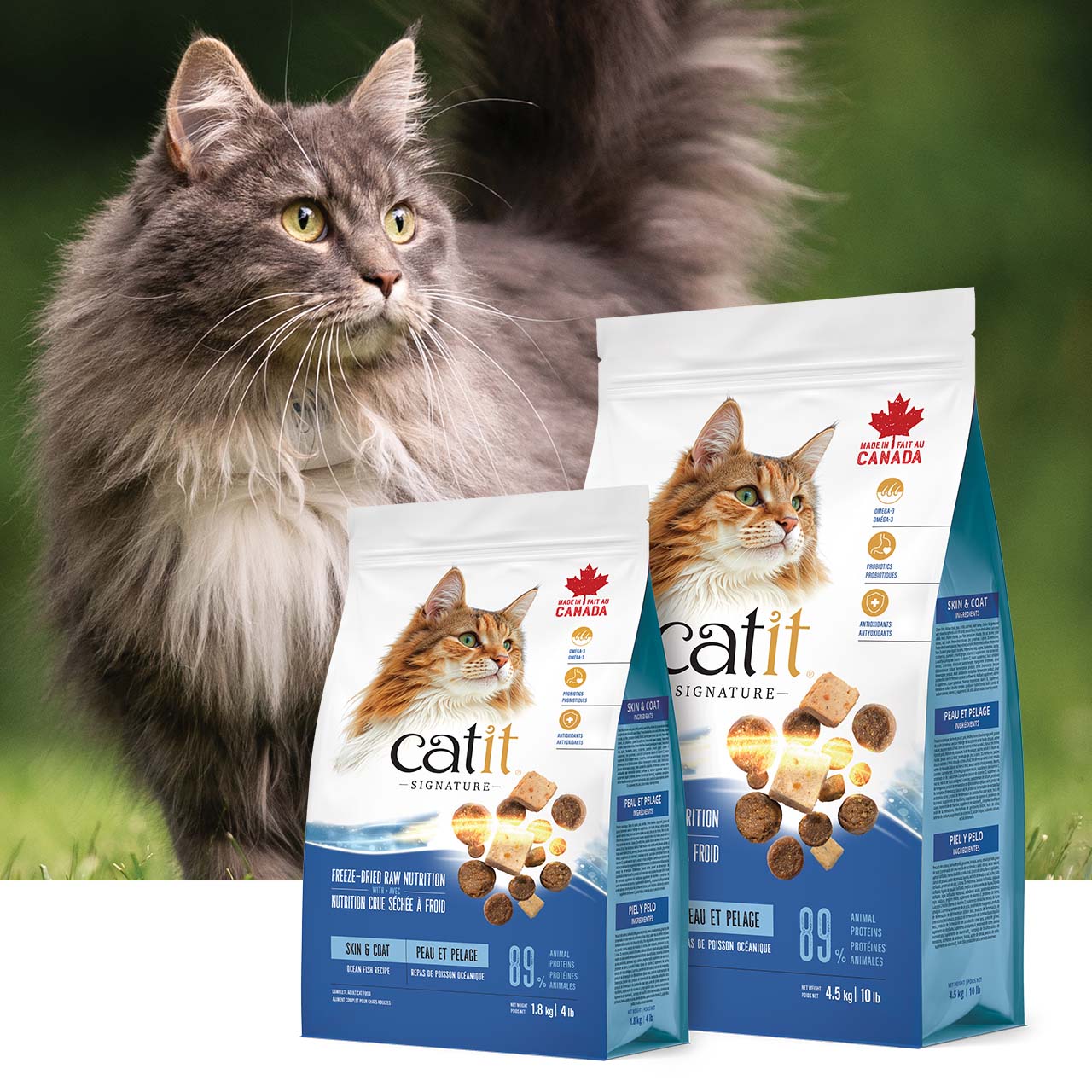 Two bags of Catit Signature Skin & Coat freeze-dried cat food with a fluffy cat in the background