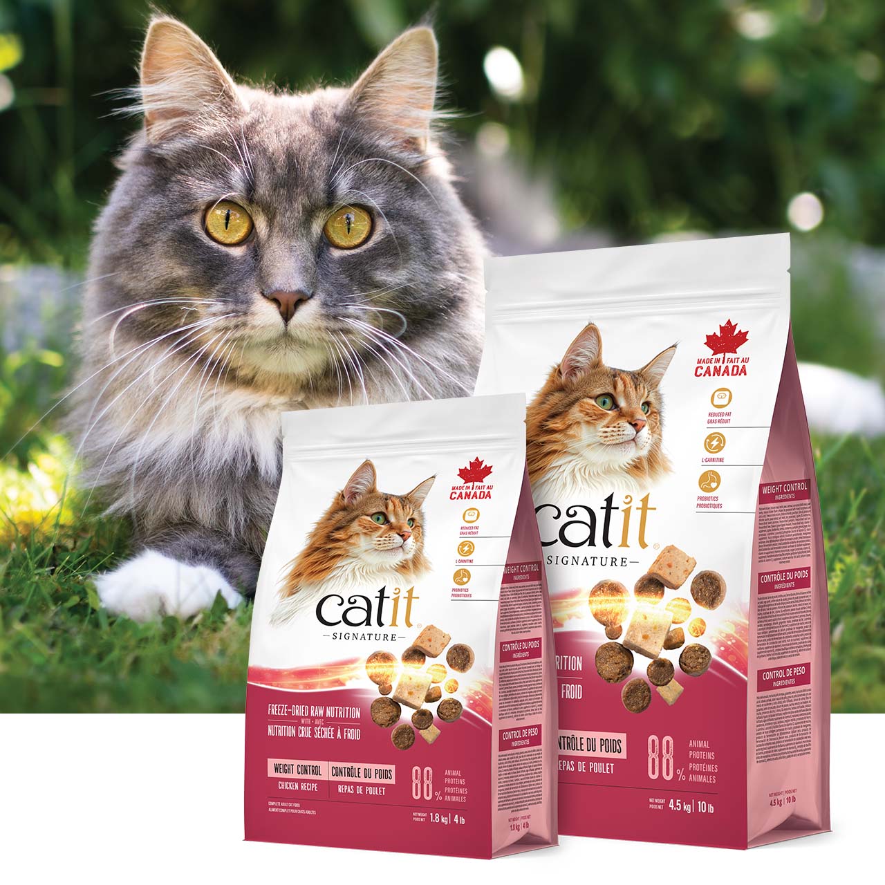 Two bags of Catit Signature Weight Control chicken recipe cat food with a cat in the background