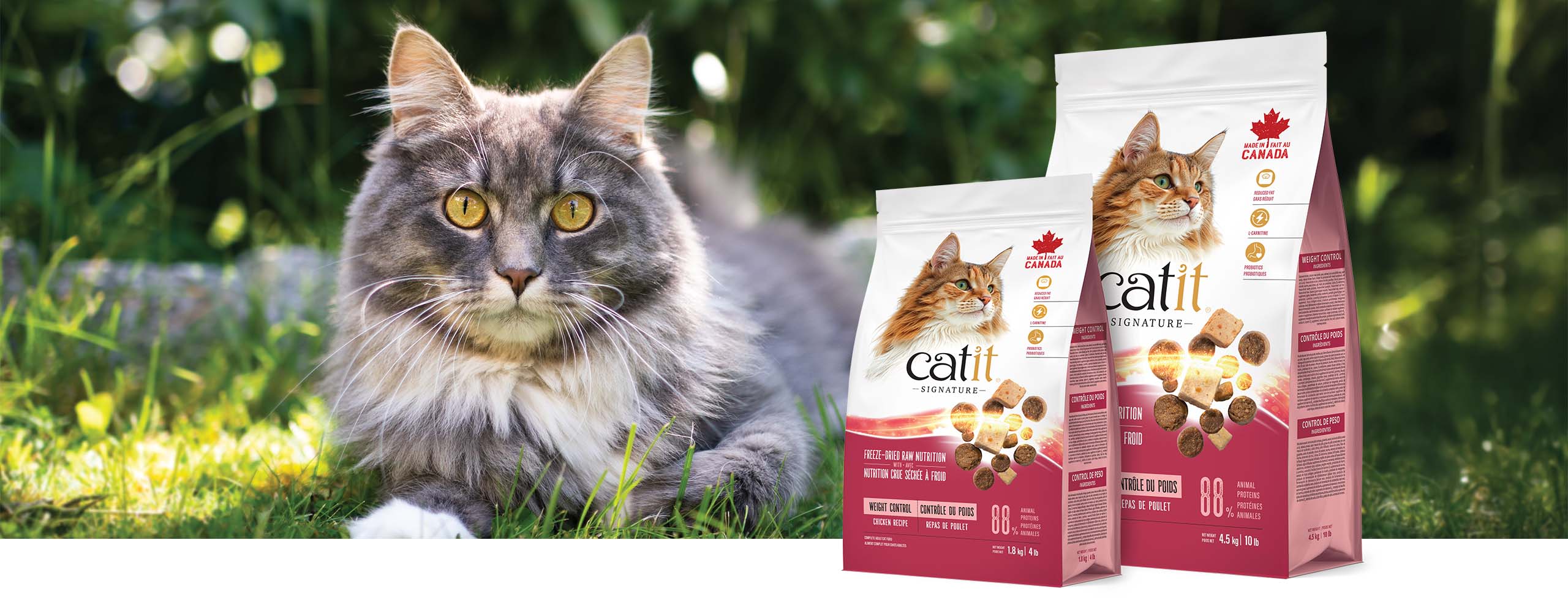 A fluffy cat lying in the grass next to two bags of Catit Signature Weight Control chicken recipe cat food