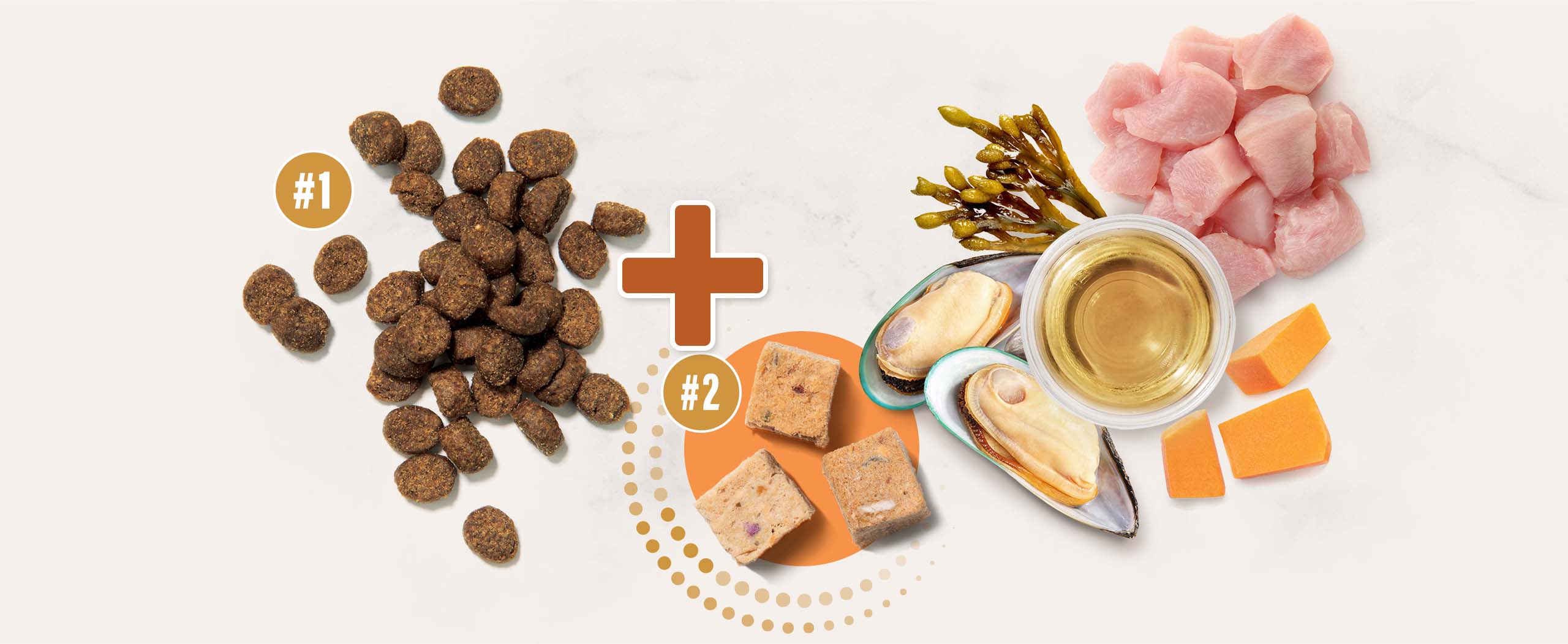 Cat food kibble combined with freeze-dried meat cubes, raw chicken, mussels, seaweed, and pumpkin pieces