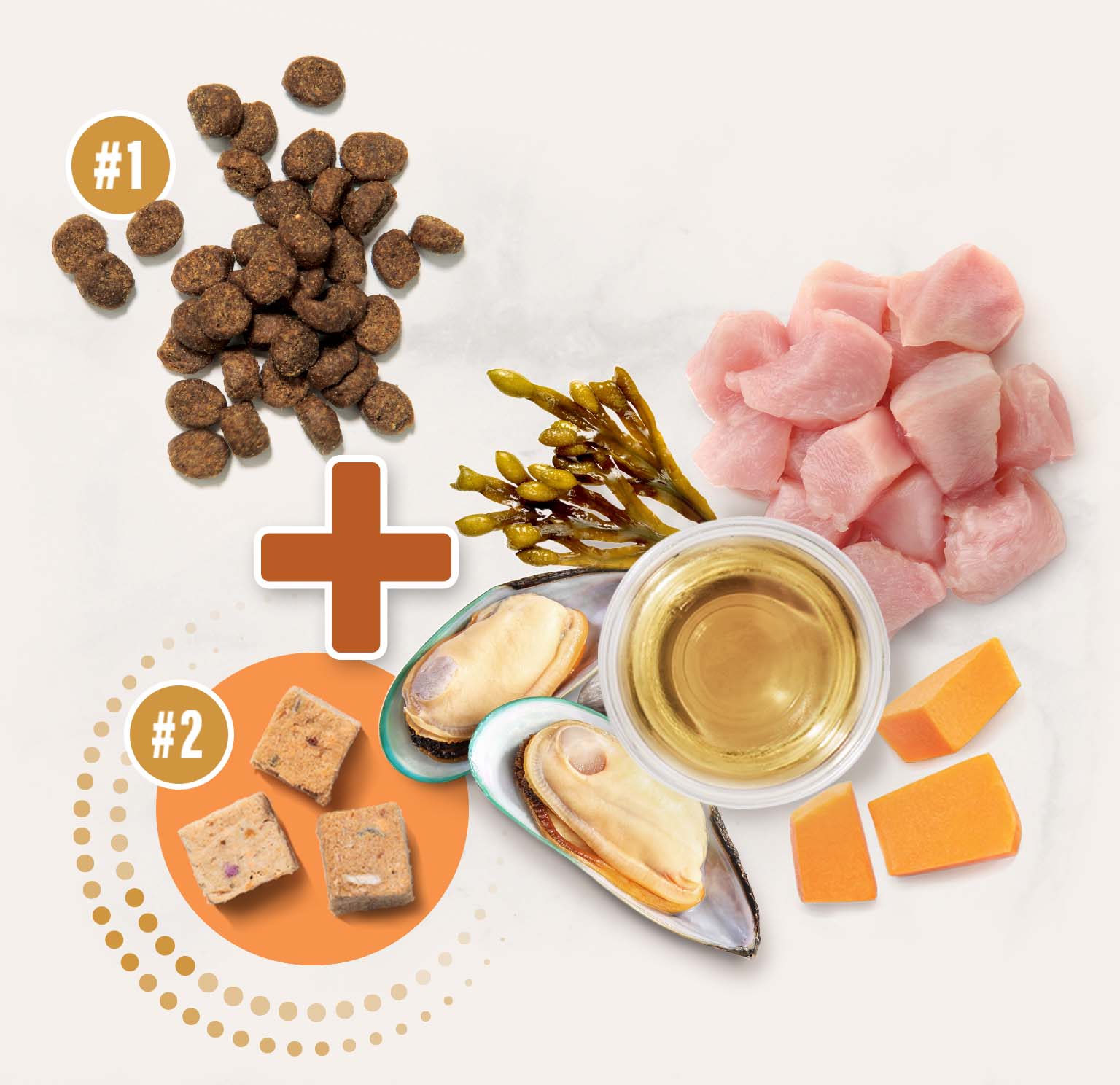 Catit food ingredients including dry kibble, freeze-dried cubes, raw chicken, mussels, seaweed, oil, and pumpkin