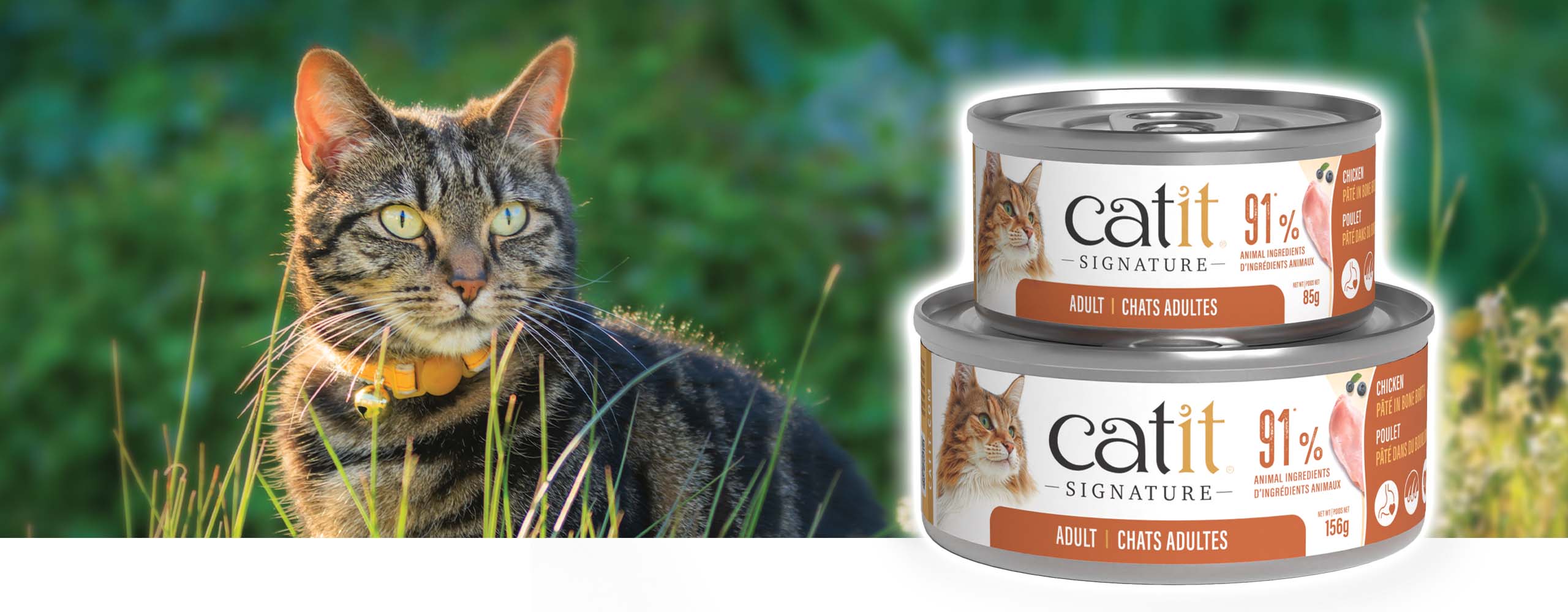 A tabby cat sitting in grass next to two cans of Catit Signature adult chicken pâté cat food