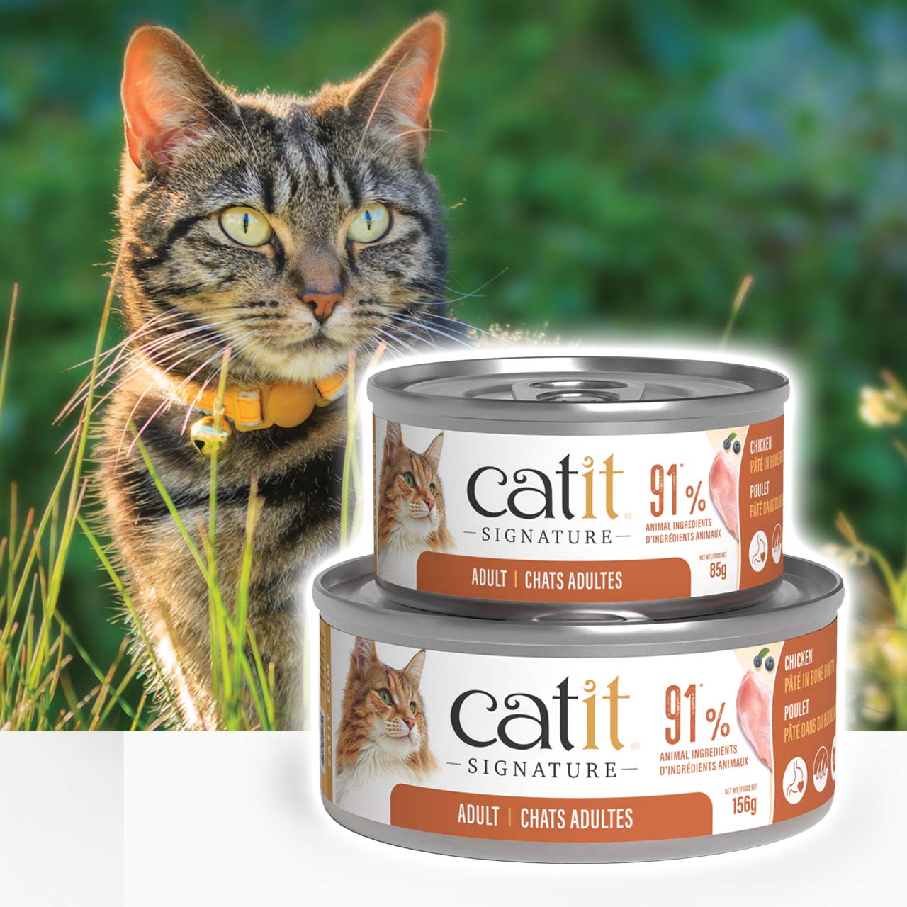 A tabby cat stands in grass behind two stacked cans of Catit Signature adult cat food featuring chicken in bone broth