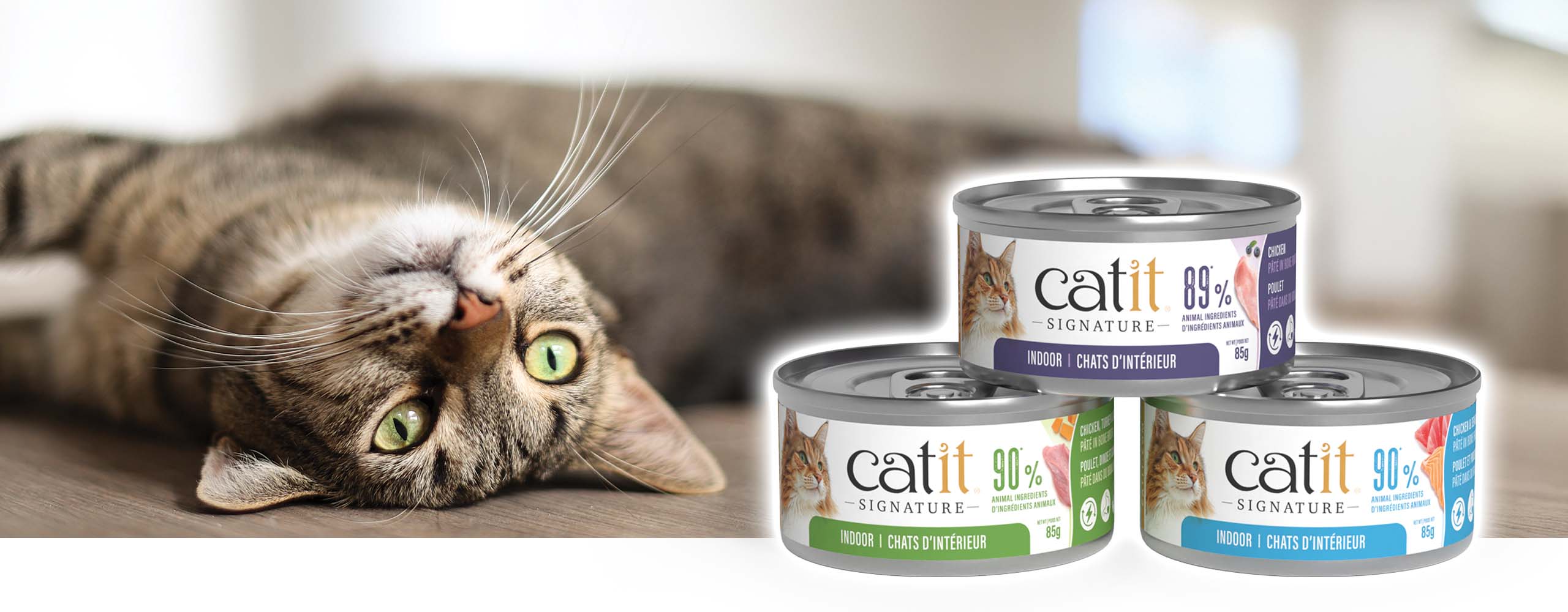 A tabby cat lying on its side next to three cans of Catit Signature indoor wet cat food